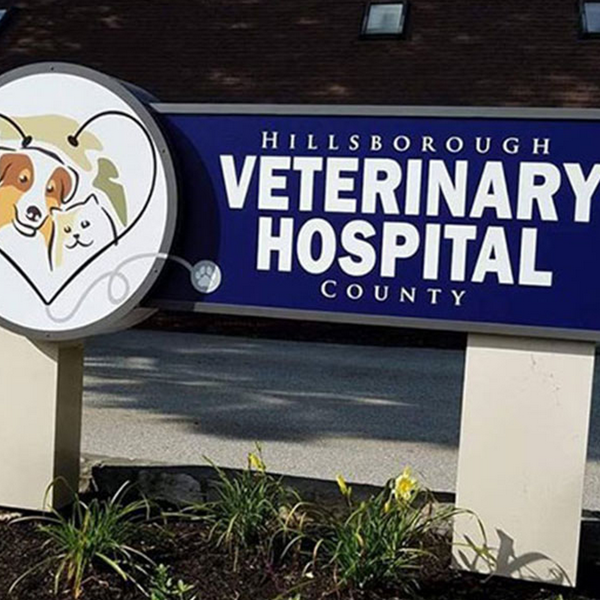 Hillsborough County Veterinary Hospital Amherst