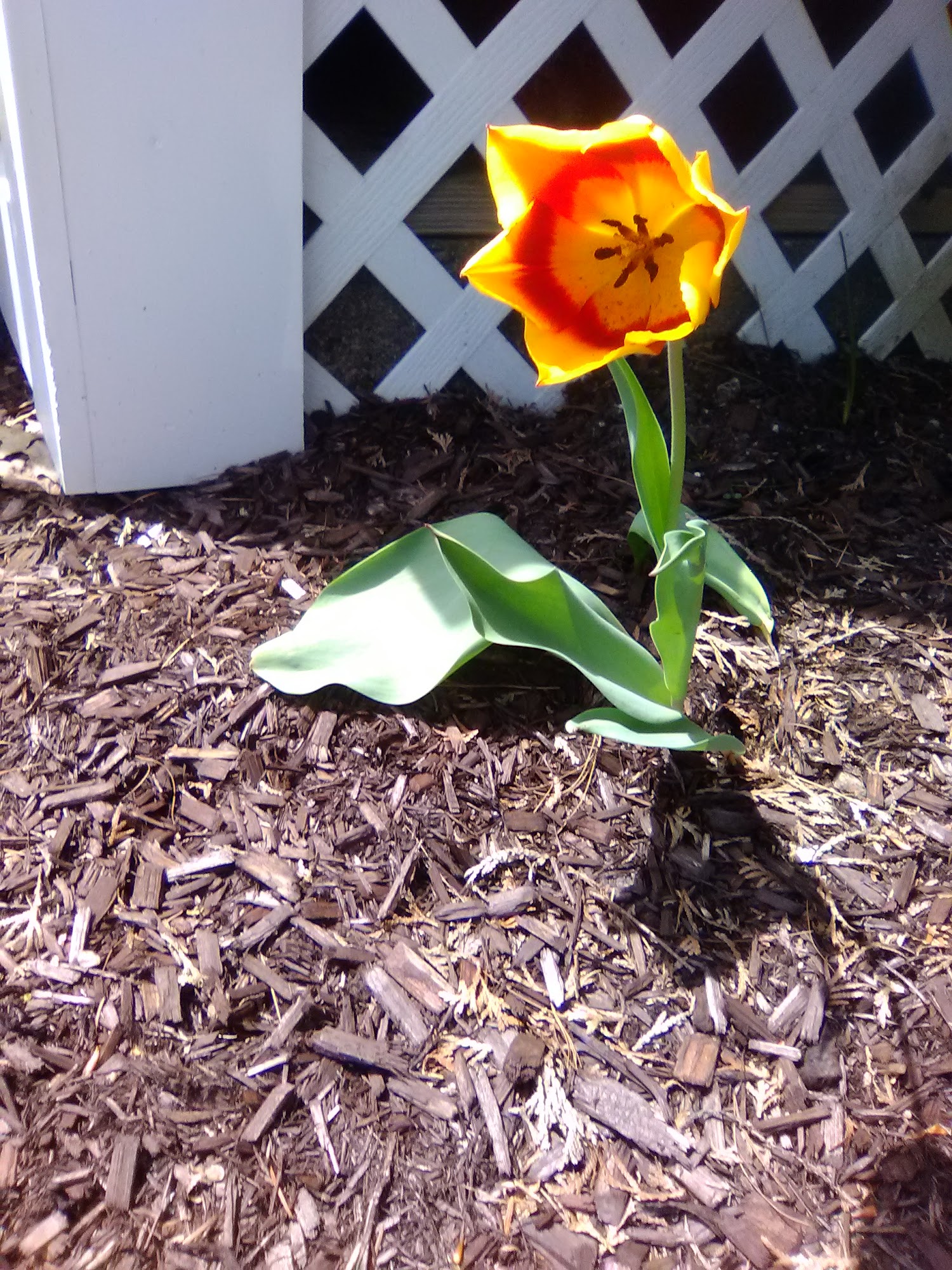 Harding Plumbing & Heating