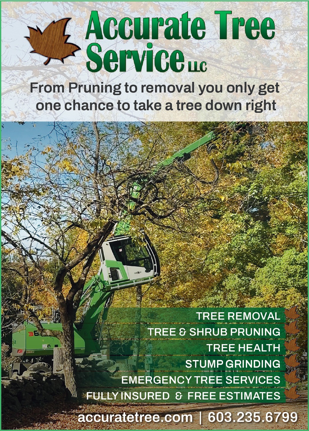 603 Yard & Tree Service LLC 663 Hooksett Road Hooksett Auburn, Auburn New Hampshire 03032