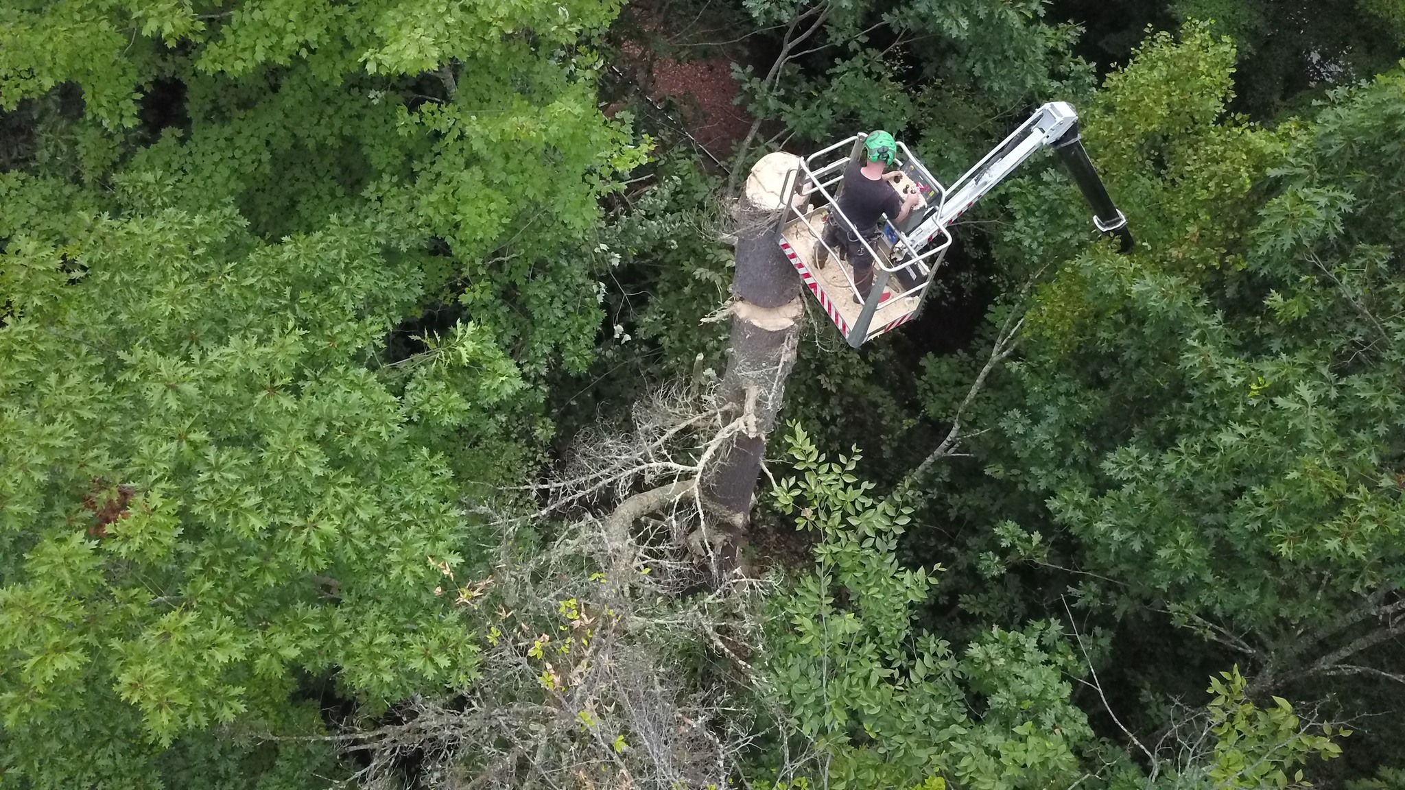 603 Yard & Tree Service LLC