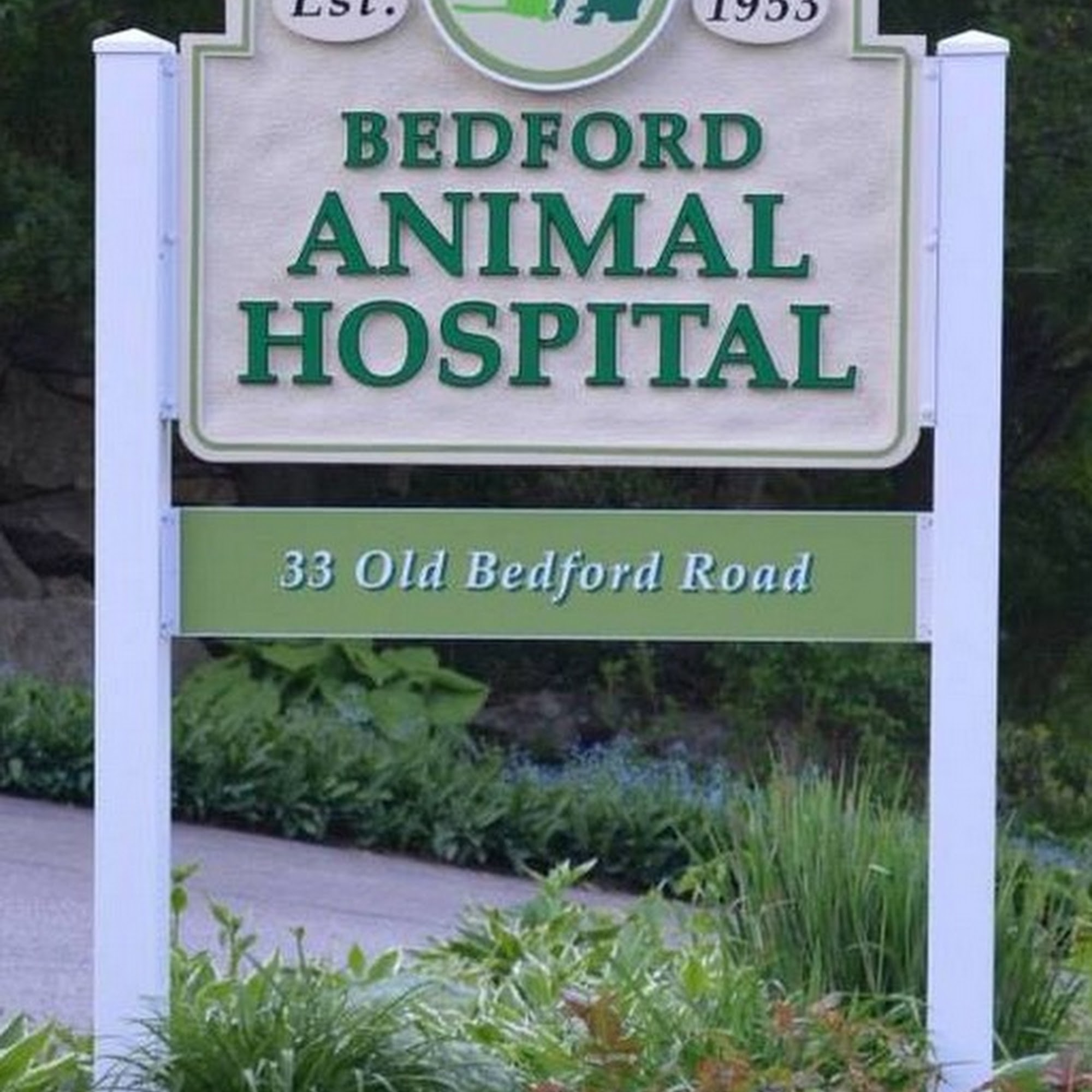 Bedford Animal Hospital Bedford