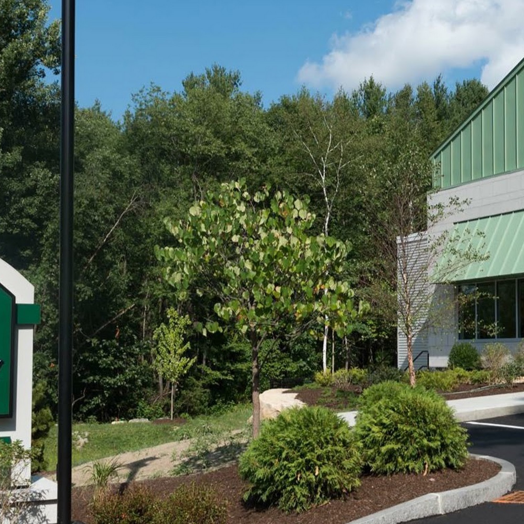 Bedford Veterinary Medical Center Bedford