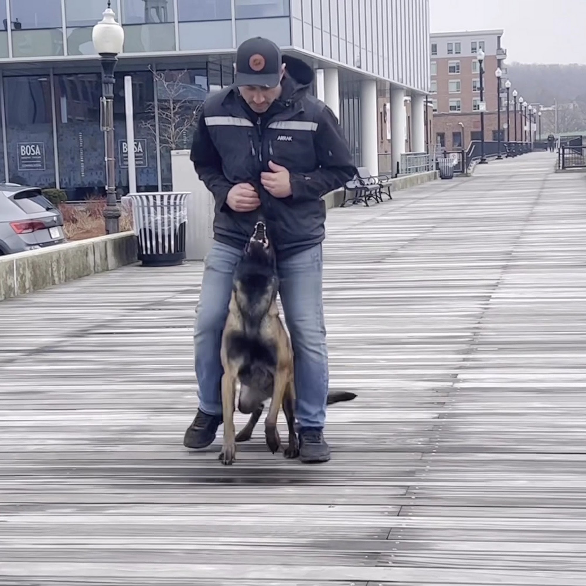 Protection Dogs Plus LLC Brentwood