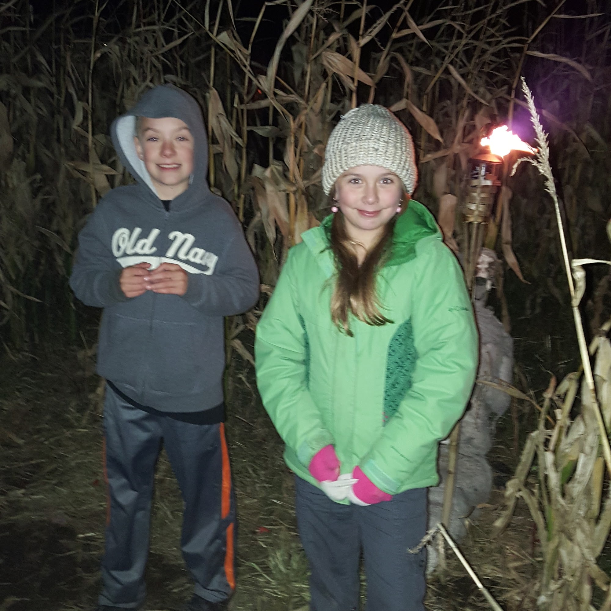 Cobb Matthew a DVM Candia