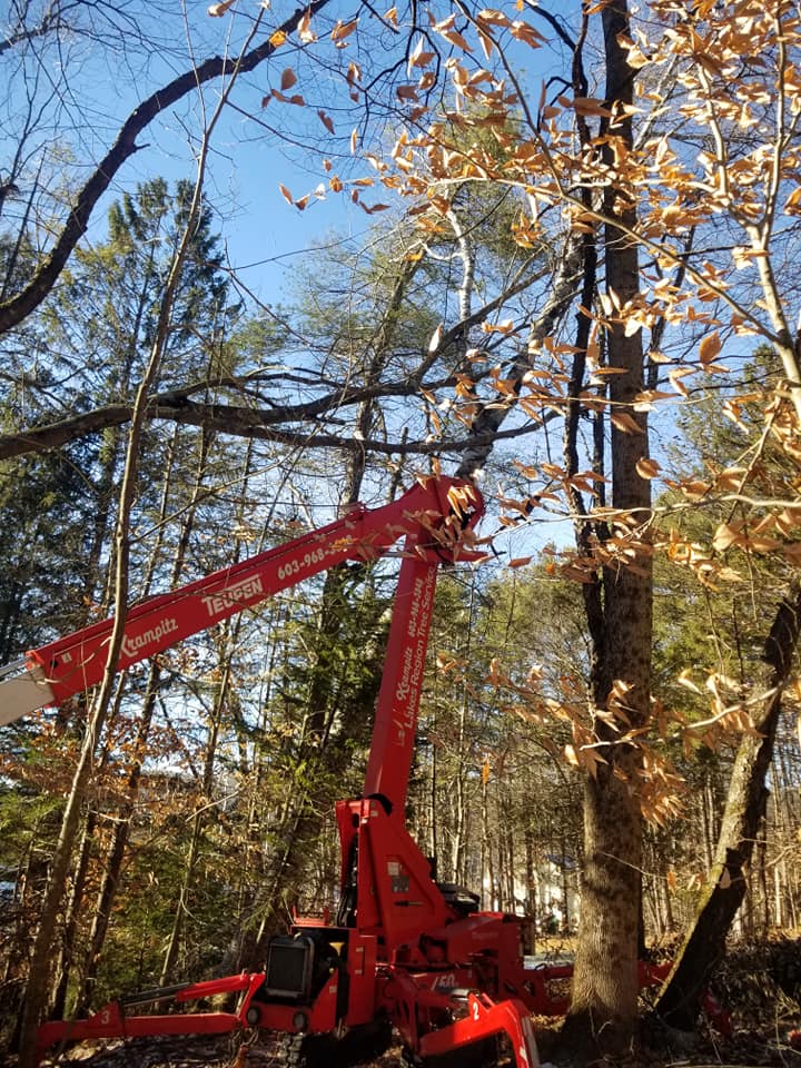 Krampitz Tree Services Piper Hill Rd, Center Harbor New Hampshire 03226