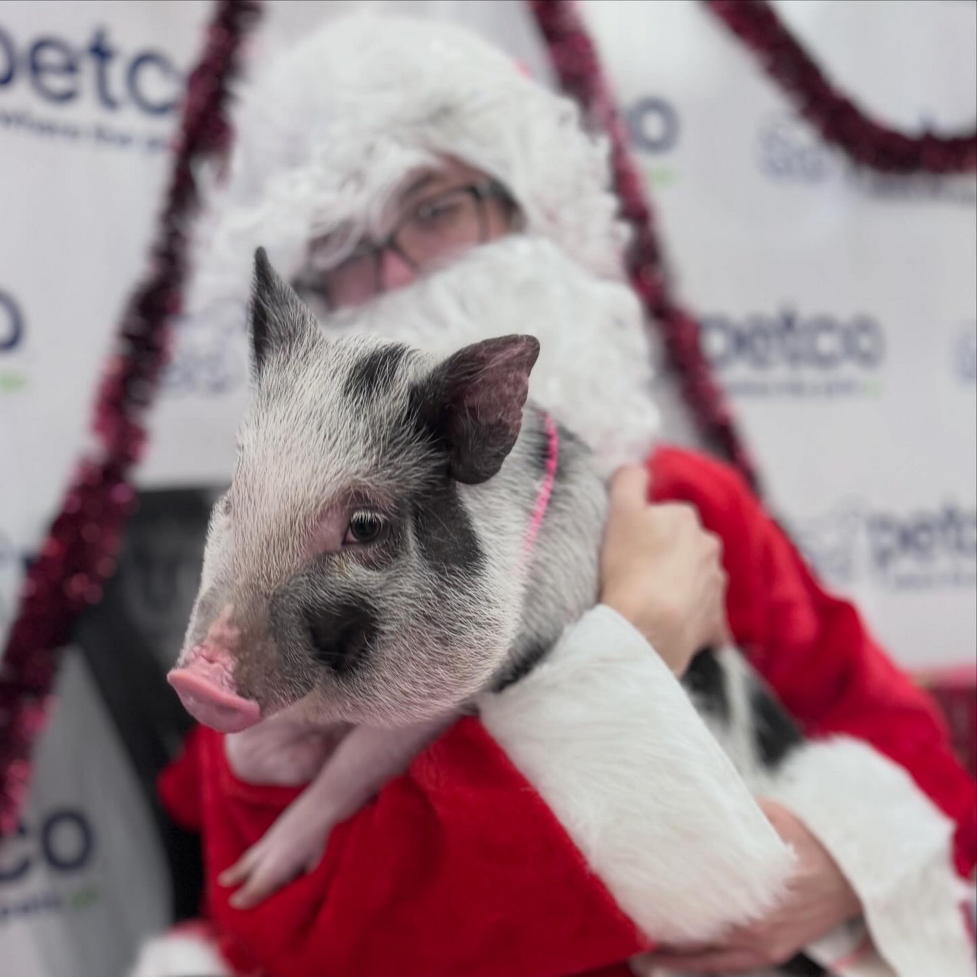 Green Mountain Bovine & Equine