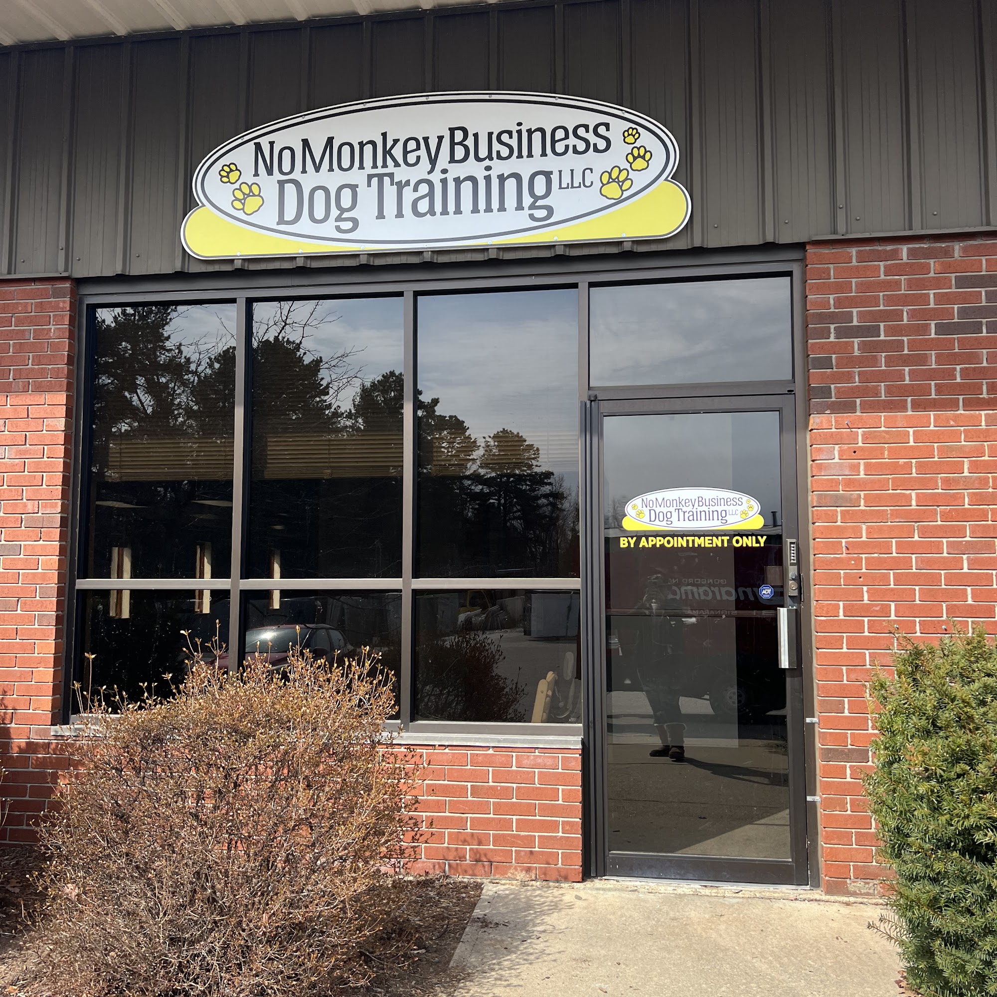 No Monkey Business Dog Training, LLC Concord