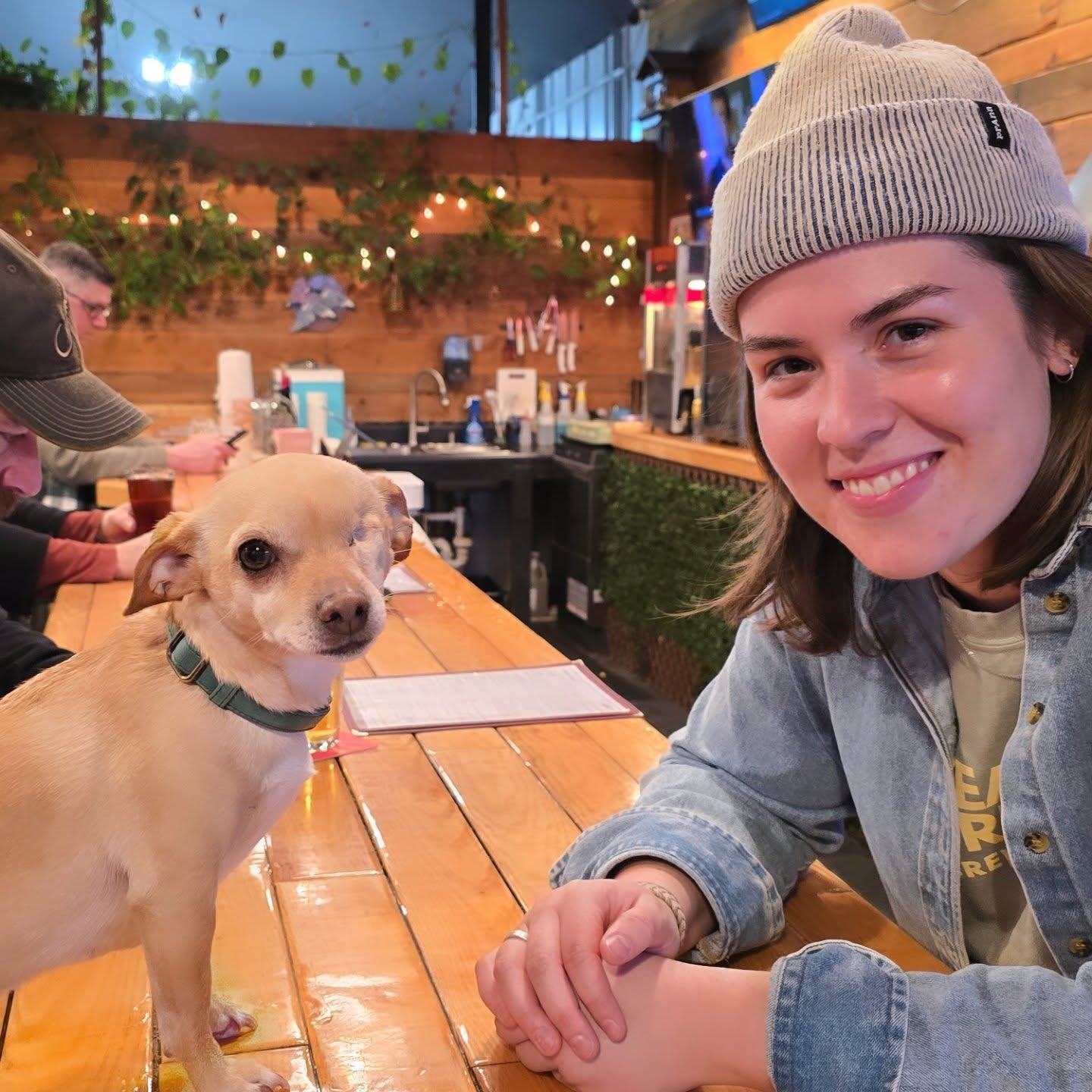 Feathered Friend Brewing Concord