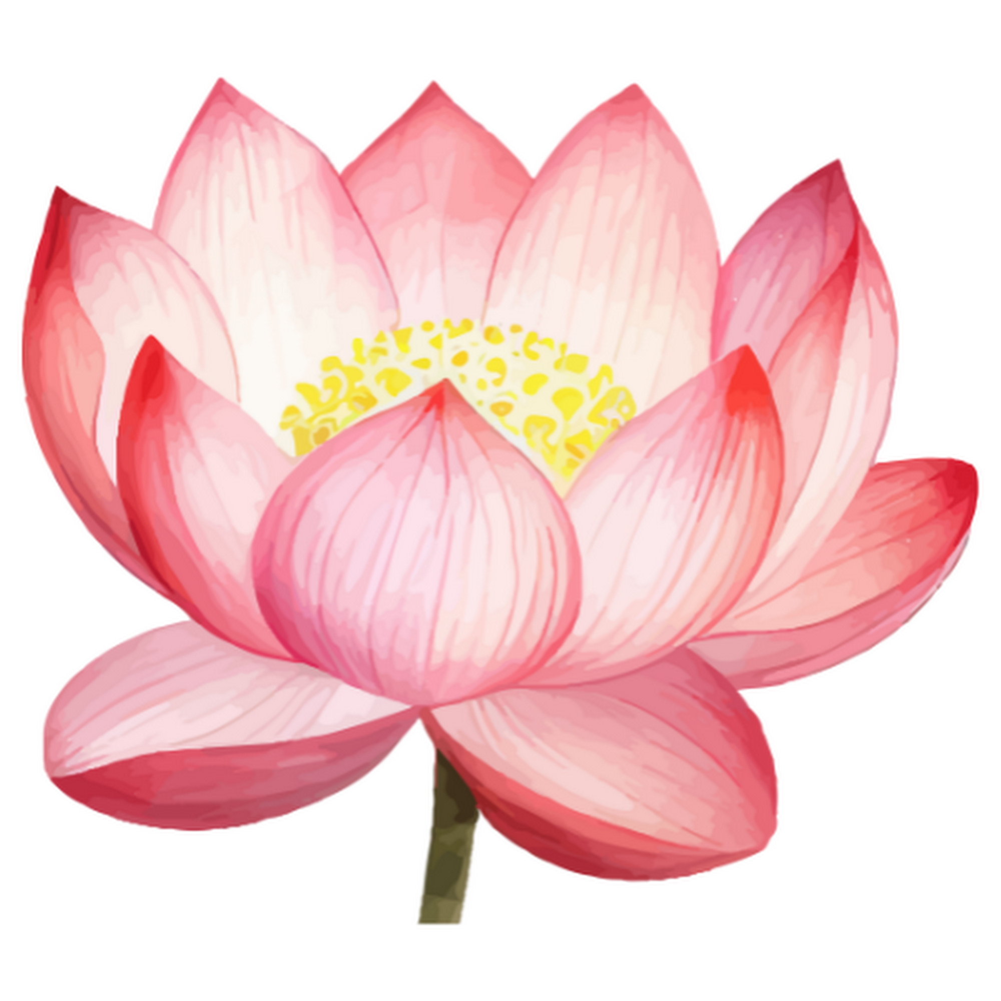 Kristin Ingold LMT - Massage & Craniosacral Therapy 13 Chenell Dr #1, Concord New Hampshire 03301