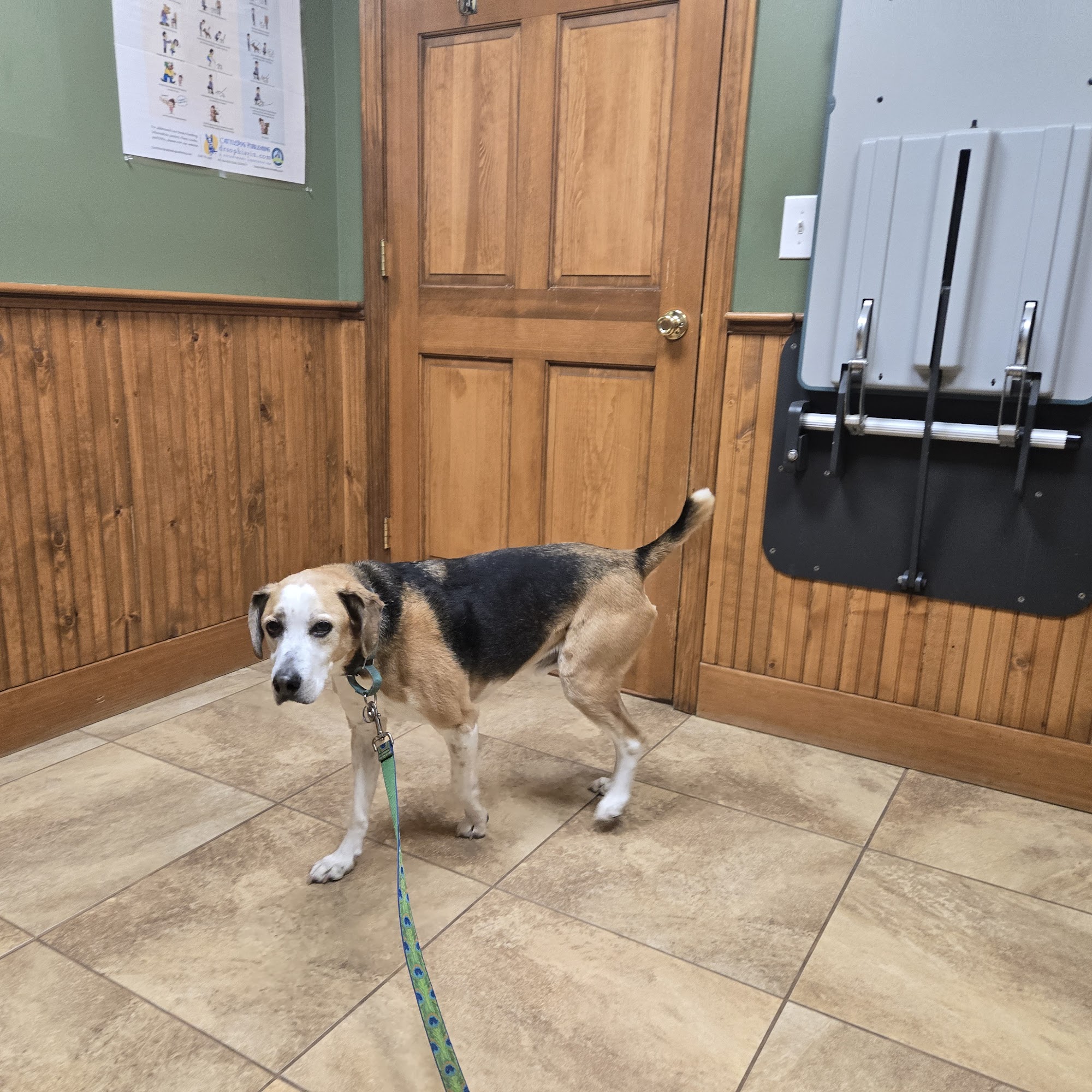 Deerfield Veterinary Clinic Deerfield