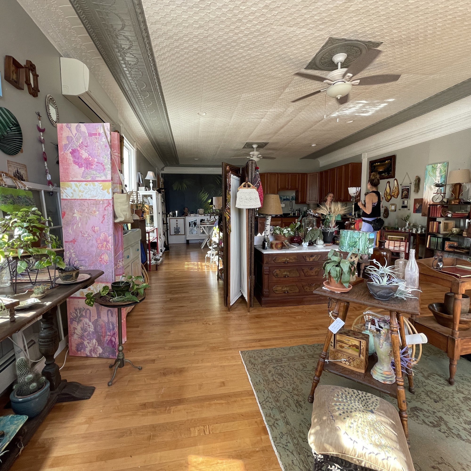 Tom & Chickpea Derry