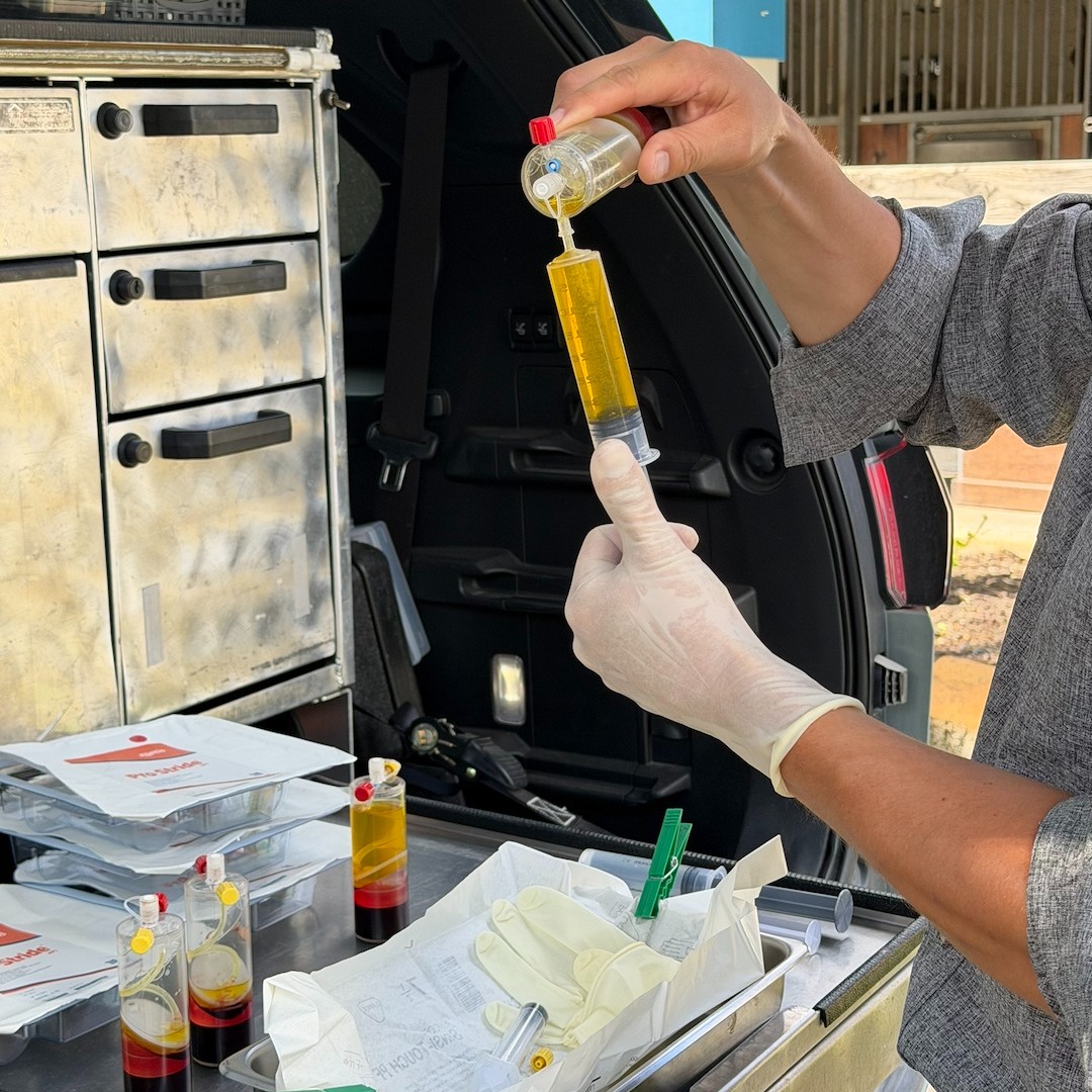 Atlantic Equine Services Dover