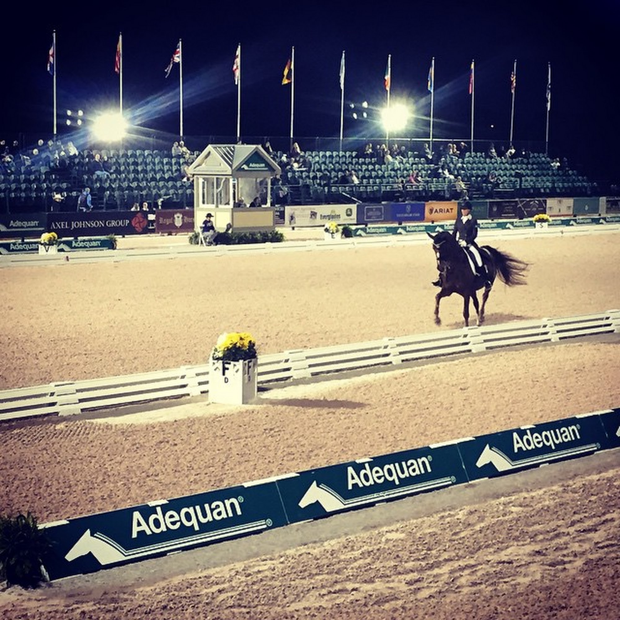 Atlantic Equine Services Dover