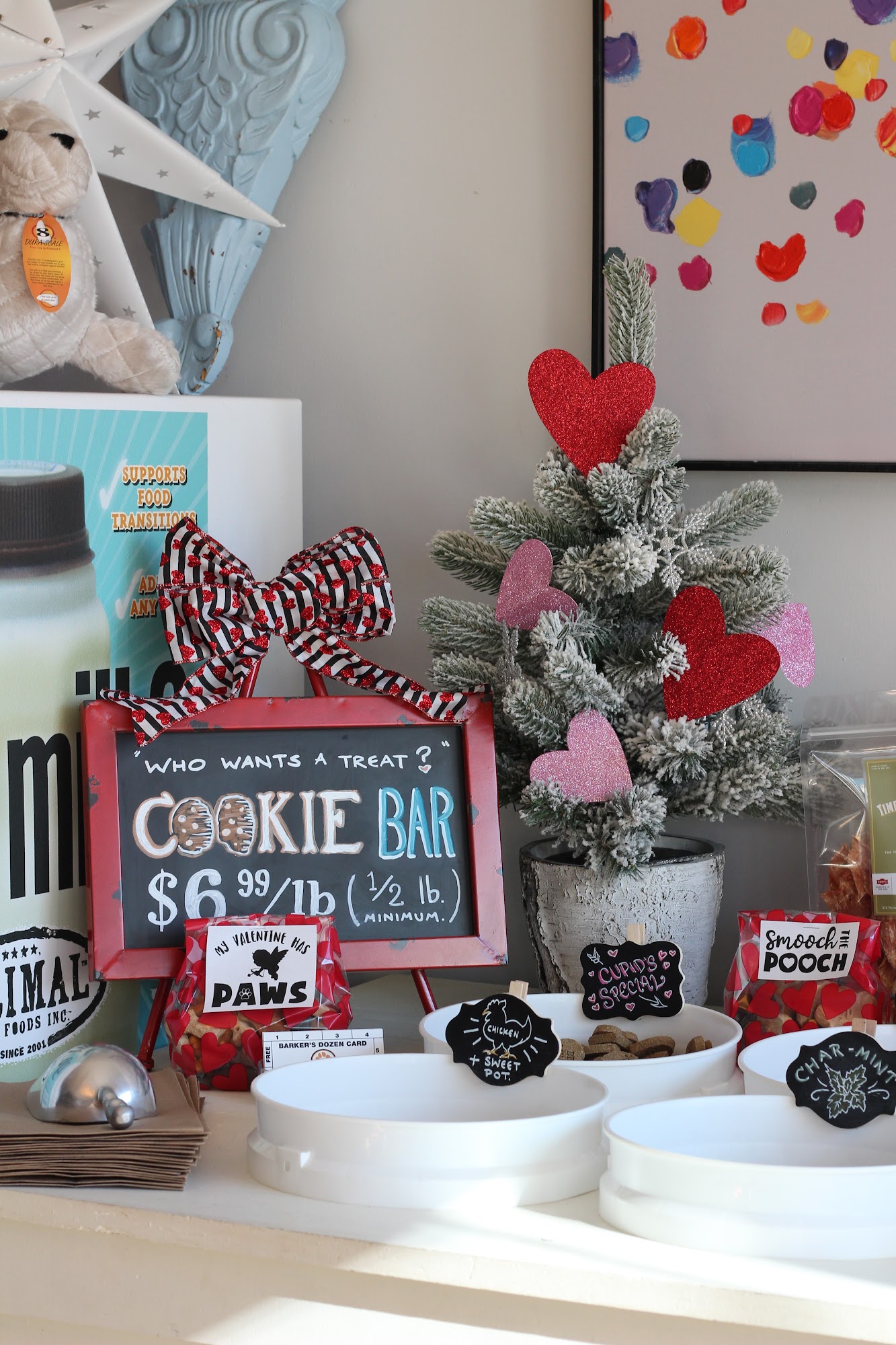 Paws Pet Boutique Exeter