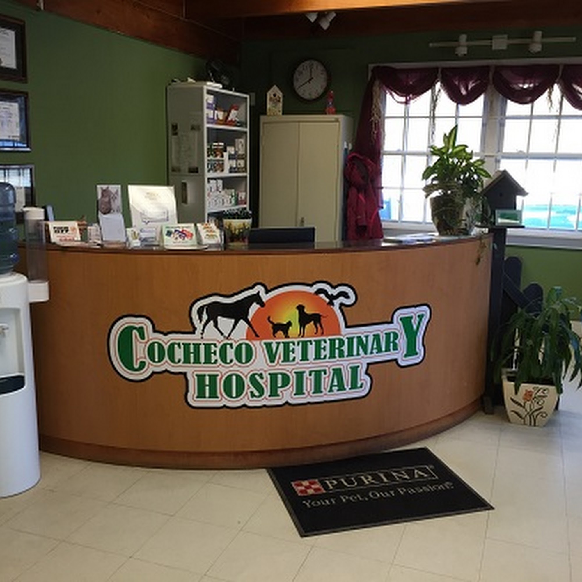 Cocheco Veterinary Hospital Farmington