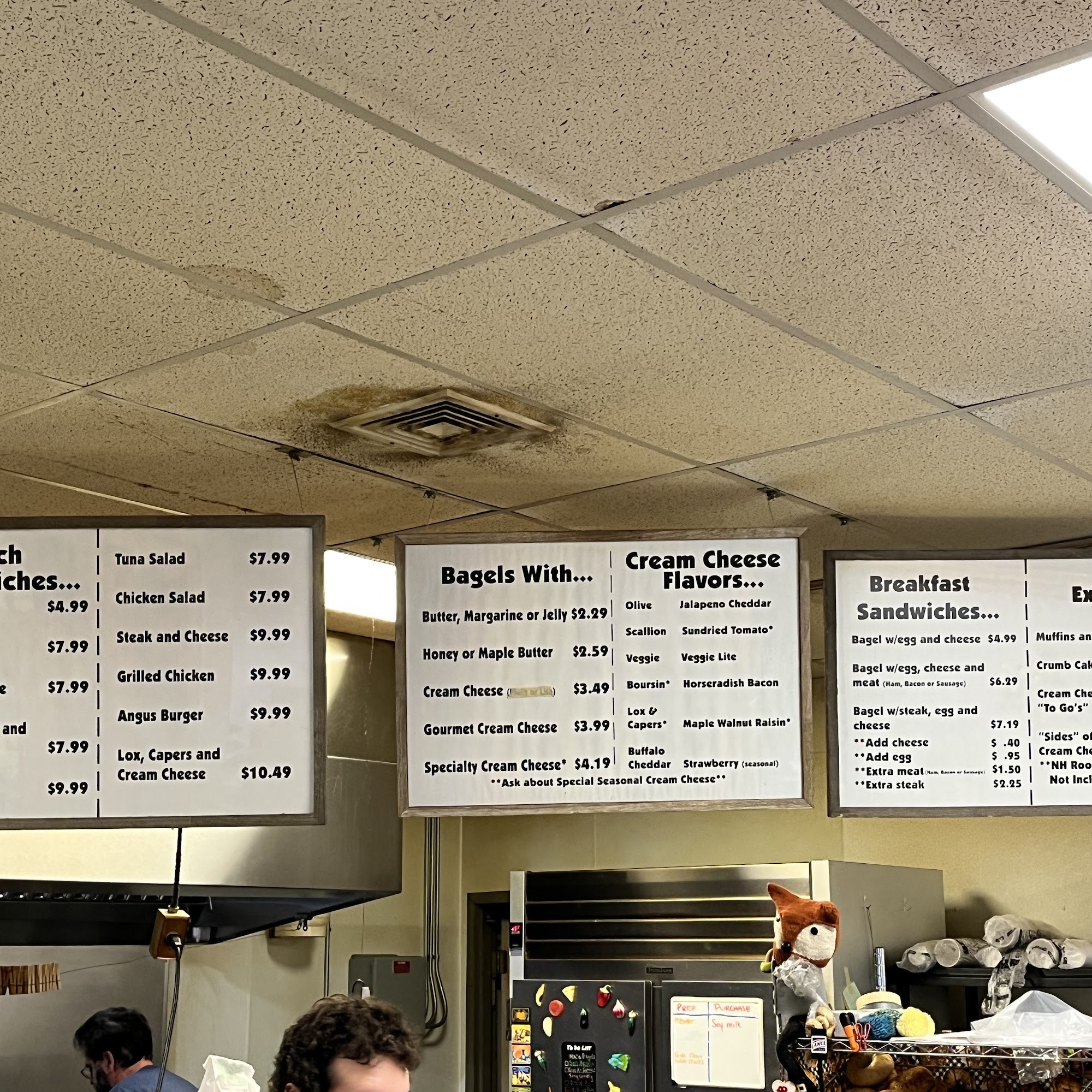 Winnipesaukee Bay Gulls 2 Gilford