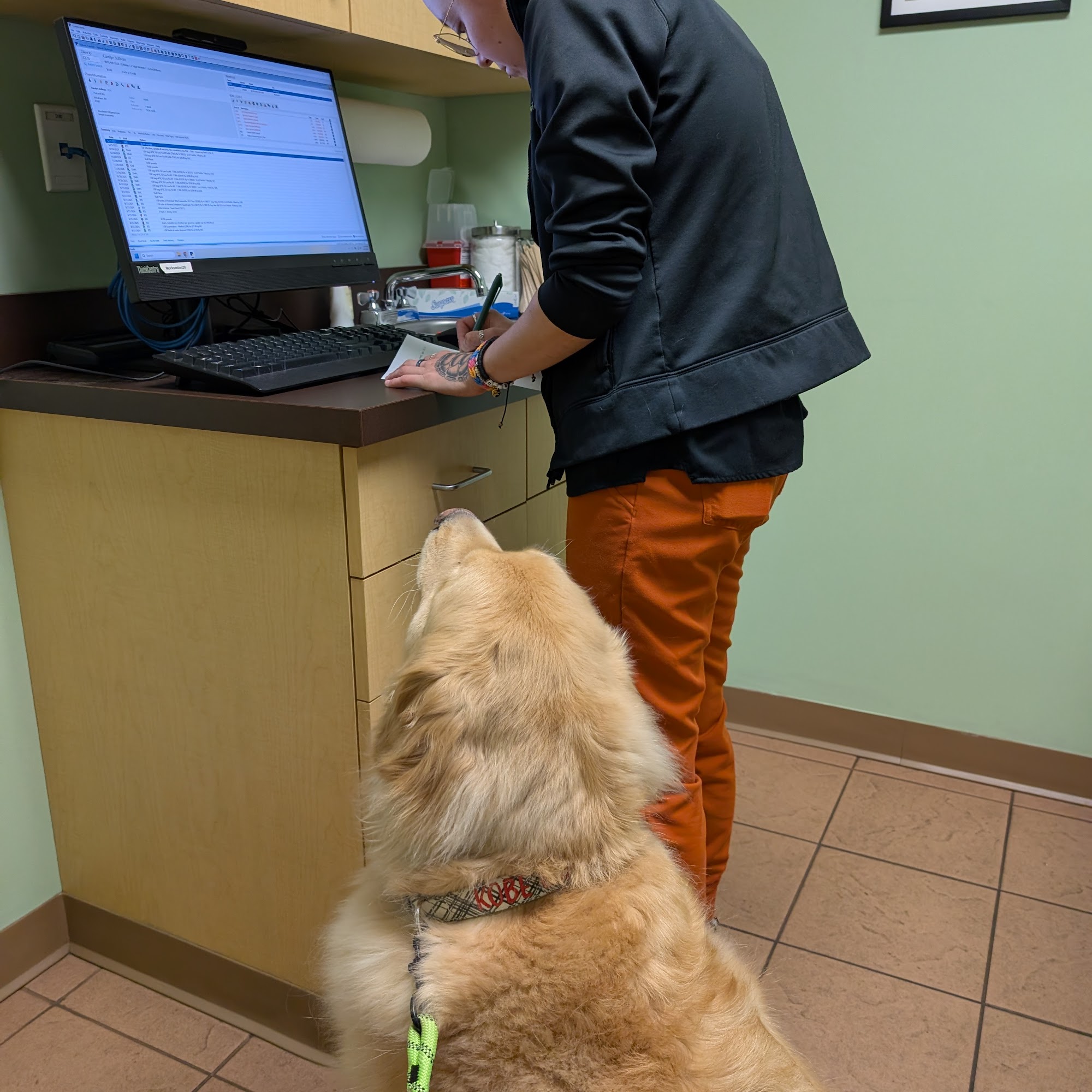 Hampstead Animal Hospital Hampstead