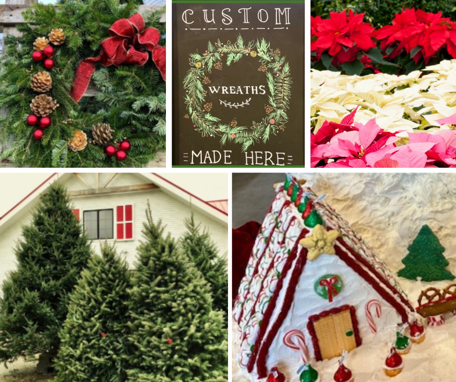 Applecrest Farm Orchards Hampton Falls