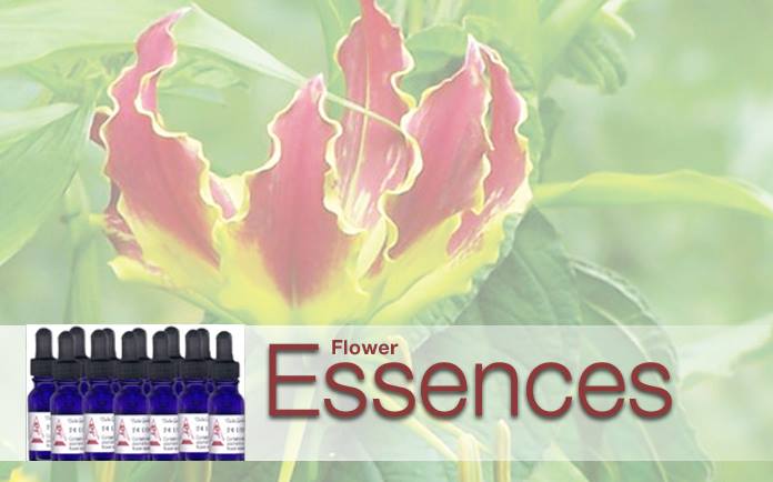 Delta Gardens Flower Essences