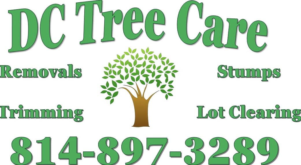 D C Tree Services
