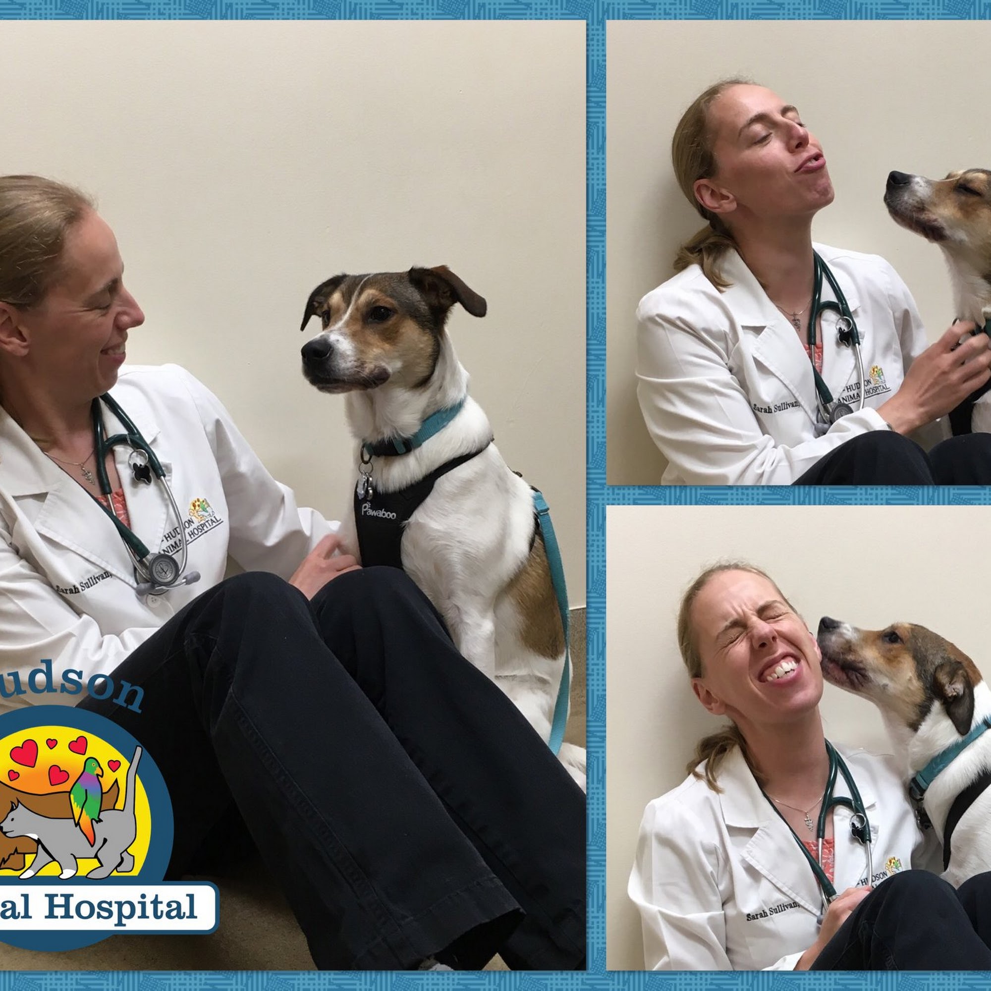 Hudson Animal Hospital, A Thrive Pet Healthcare Partner Hudson