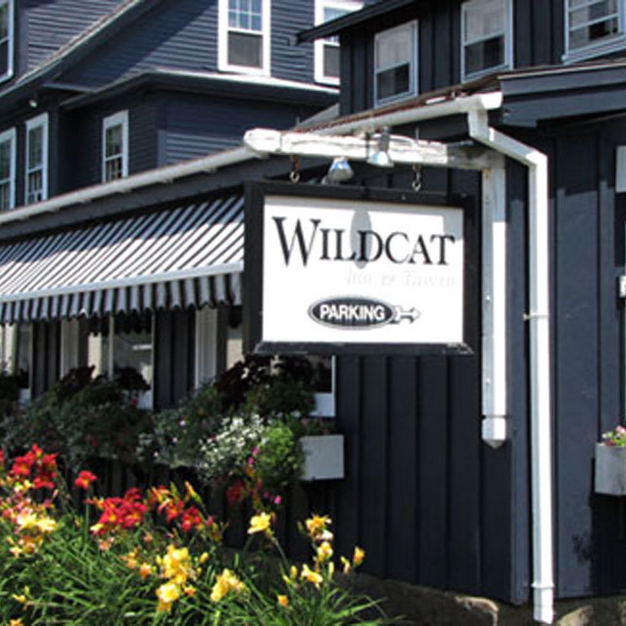 Wildcat Inn & Tavern Jackson