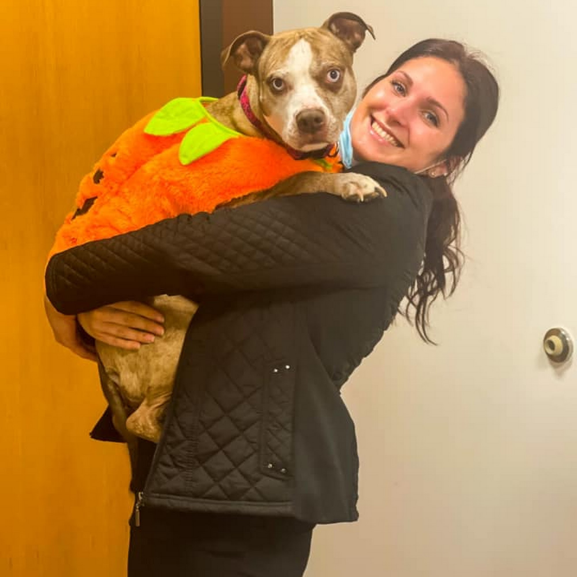 Plaistow-Kingston Animal Medical Center Kingston