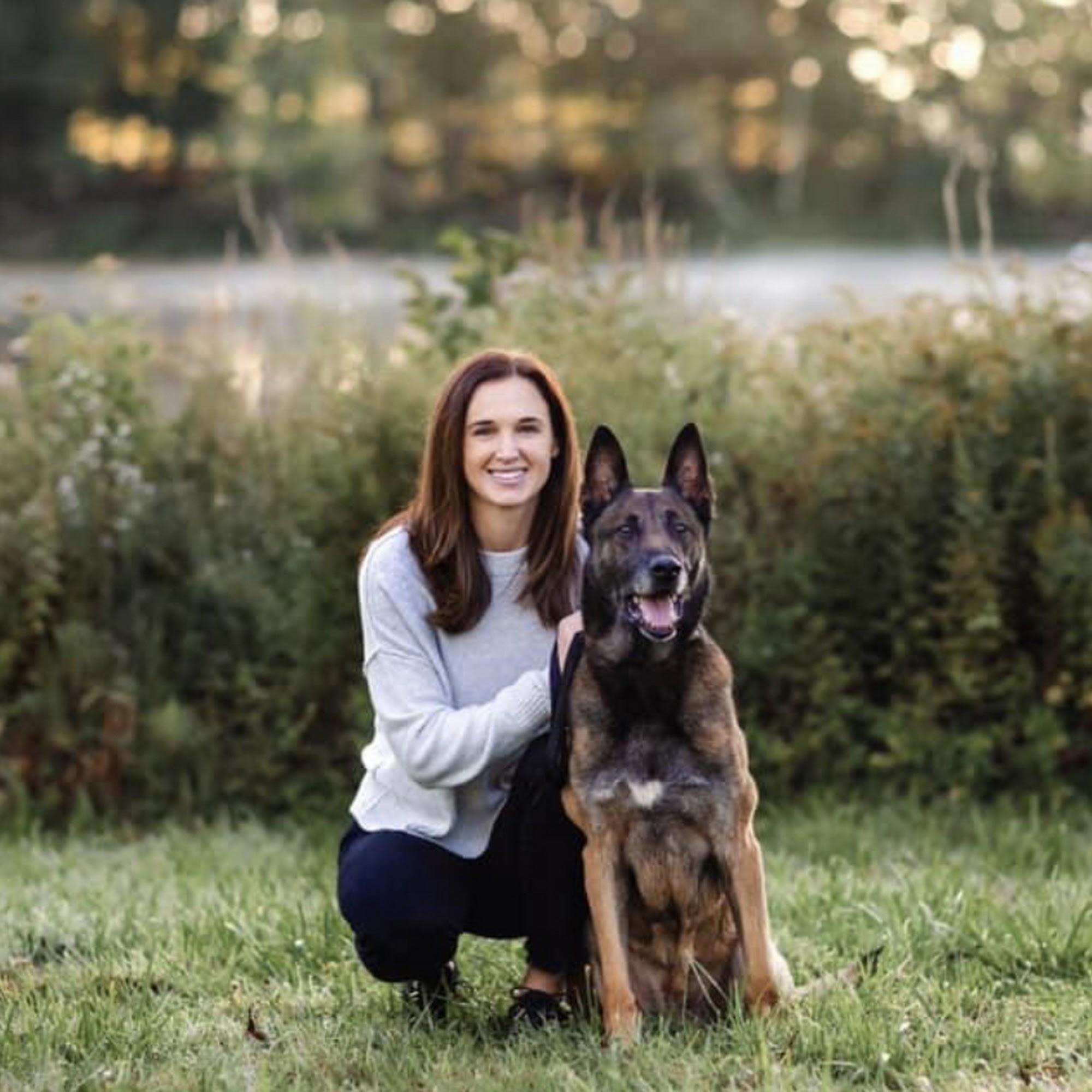 The Loyal Hound Kingston