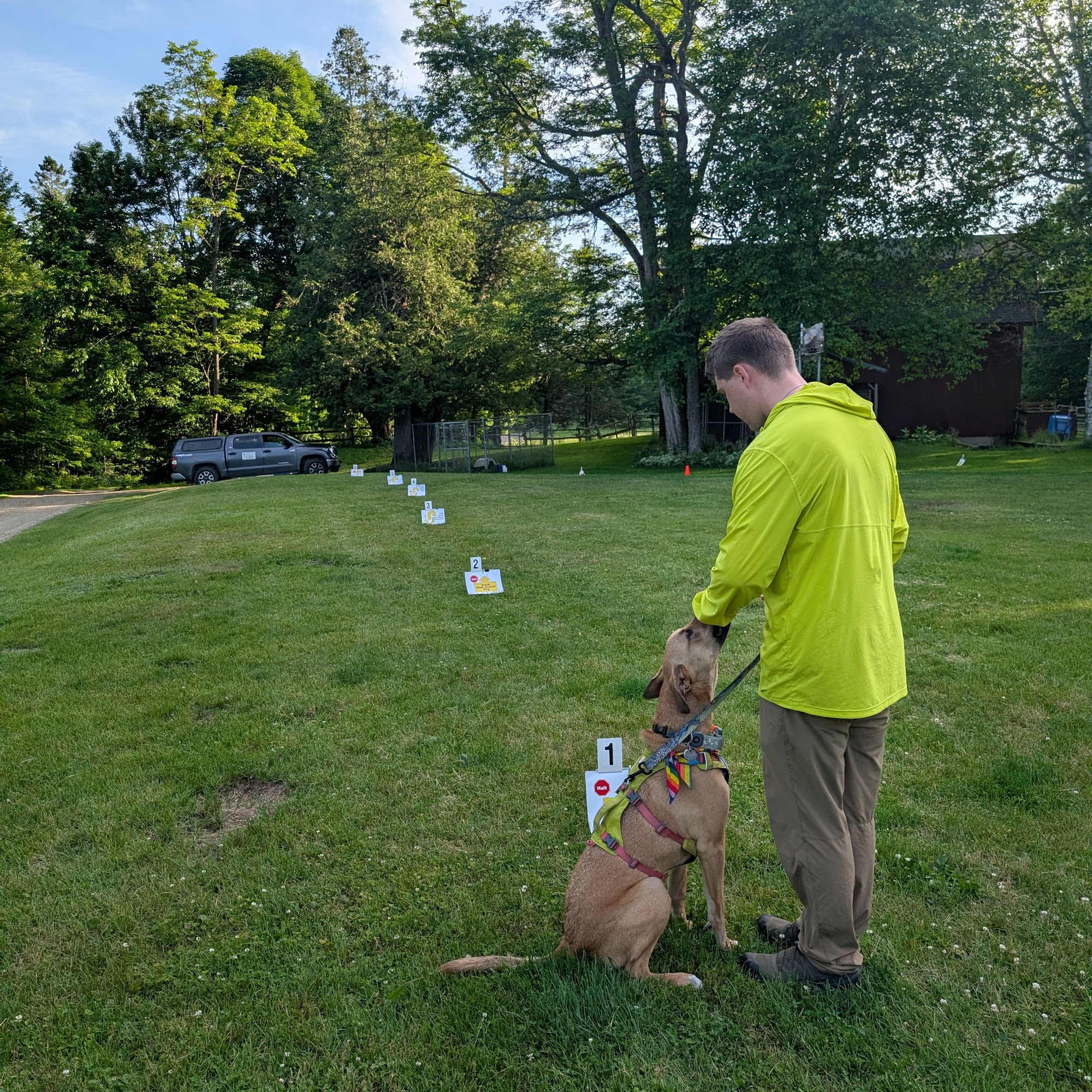 Paws-a-tive Training Lancaster