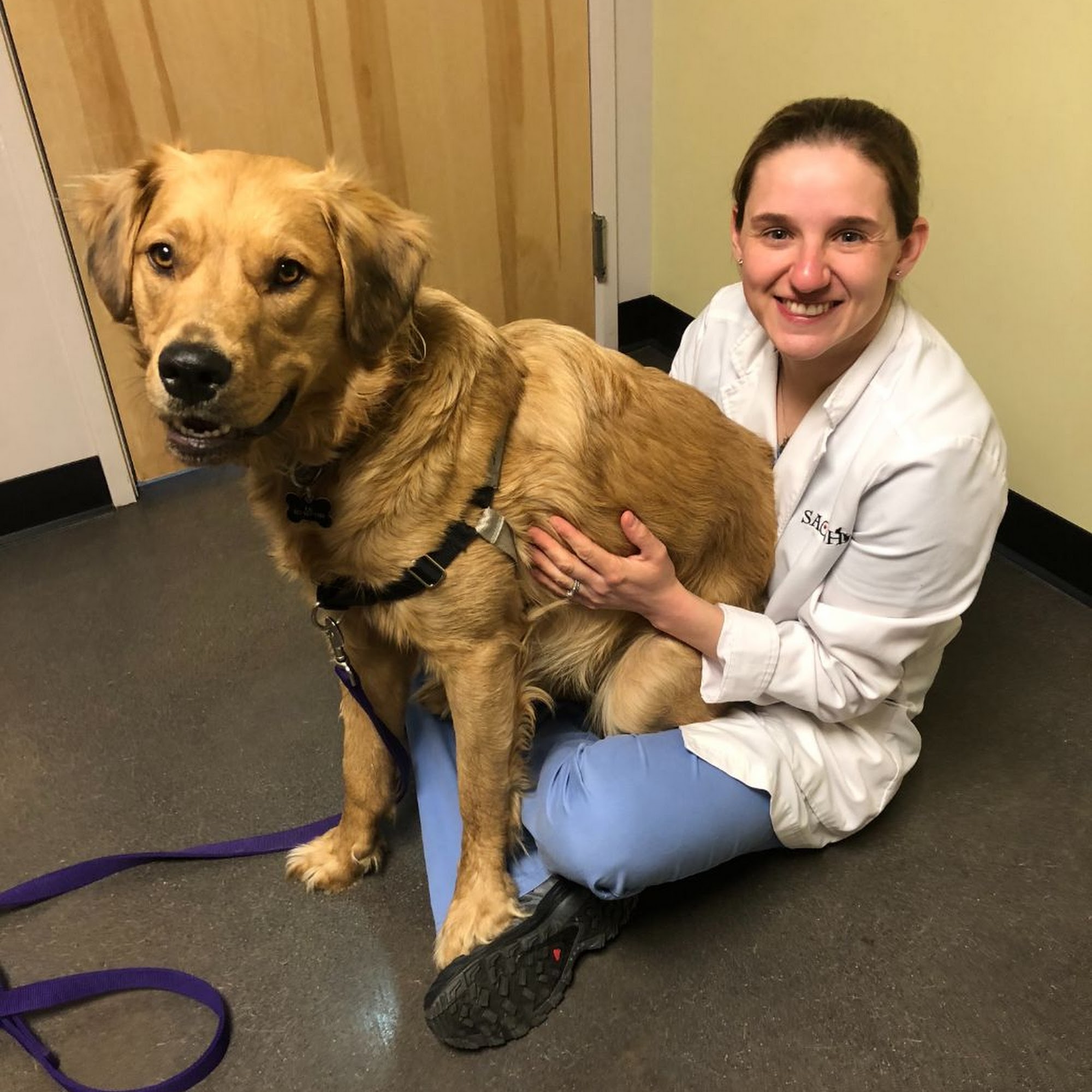 Stonecliff Animal Clinic of New Hampshire Lebanon