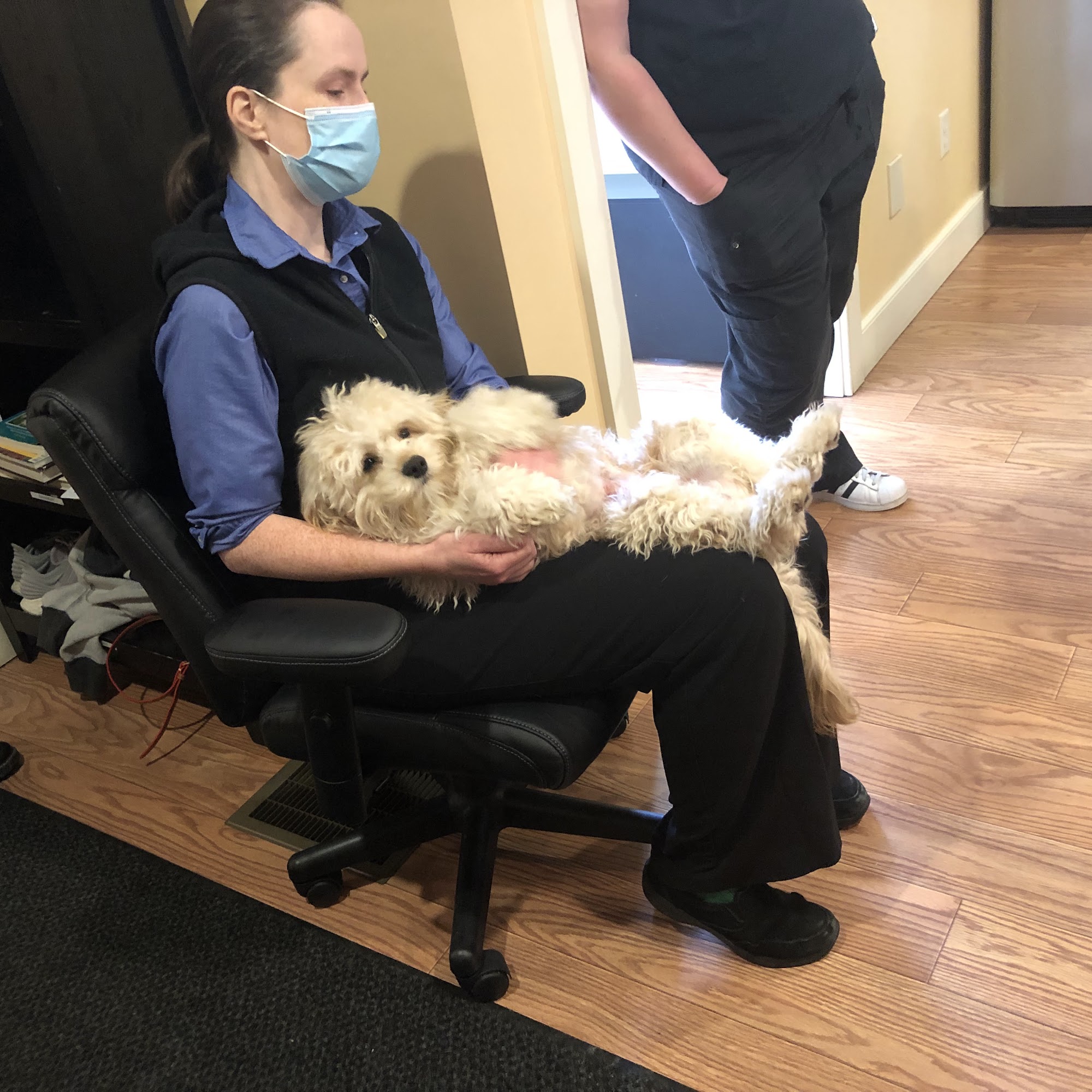 Stoney Brook Veterinary Hospital Lebanon