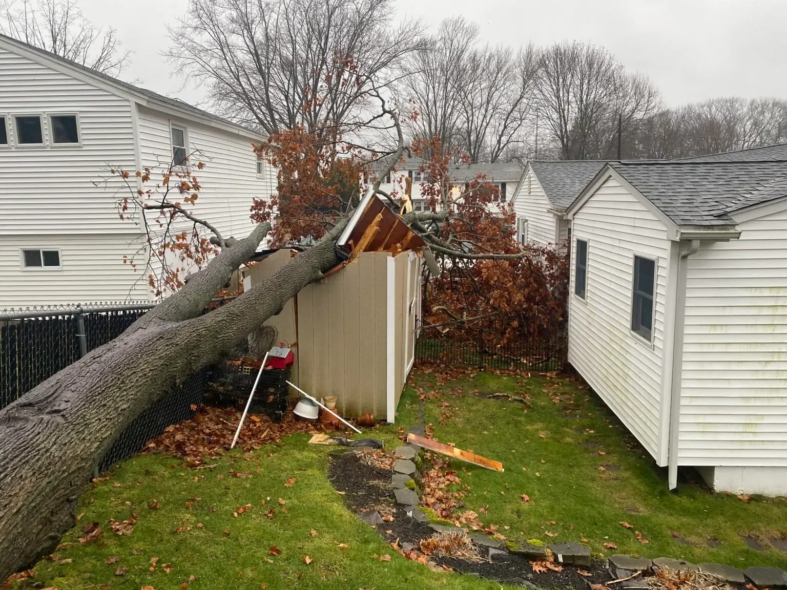 Photo credit: nextdoor
