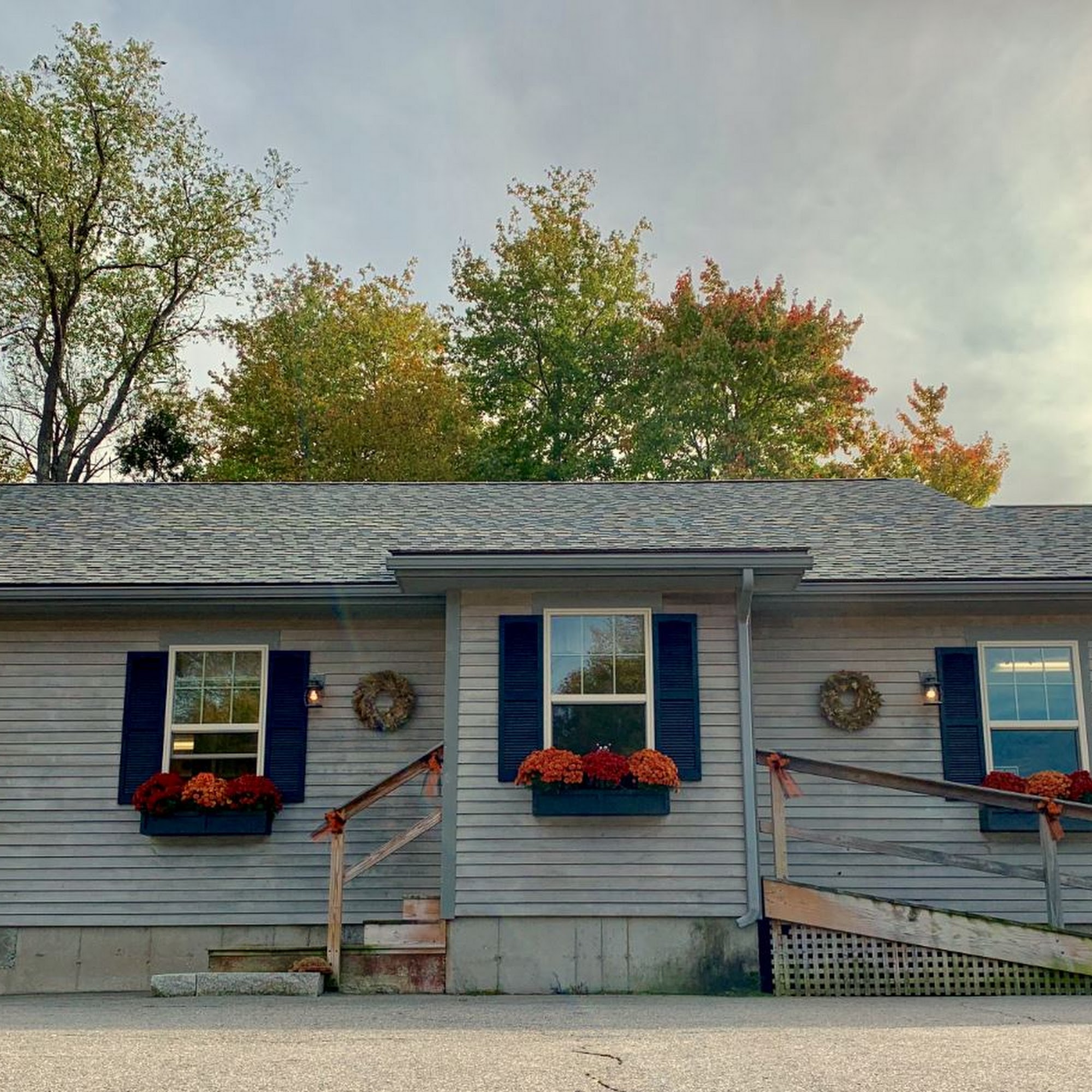 Linwood Veterinary Clinic Lincoln