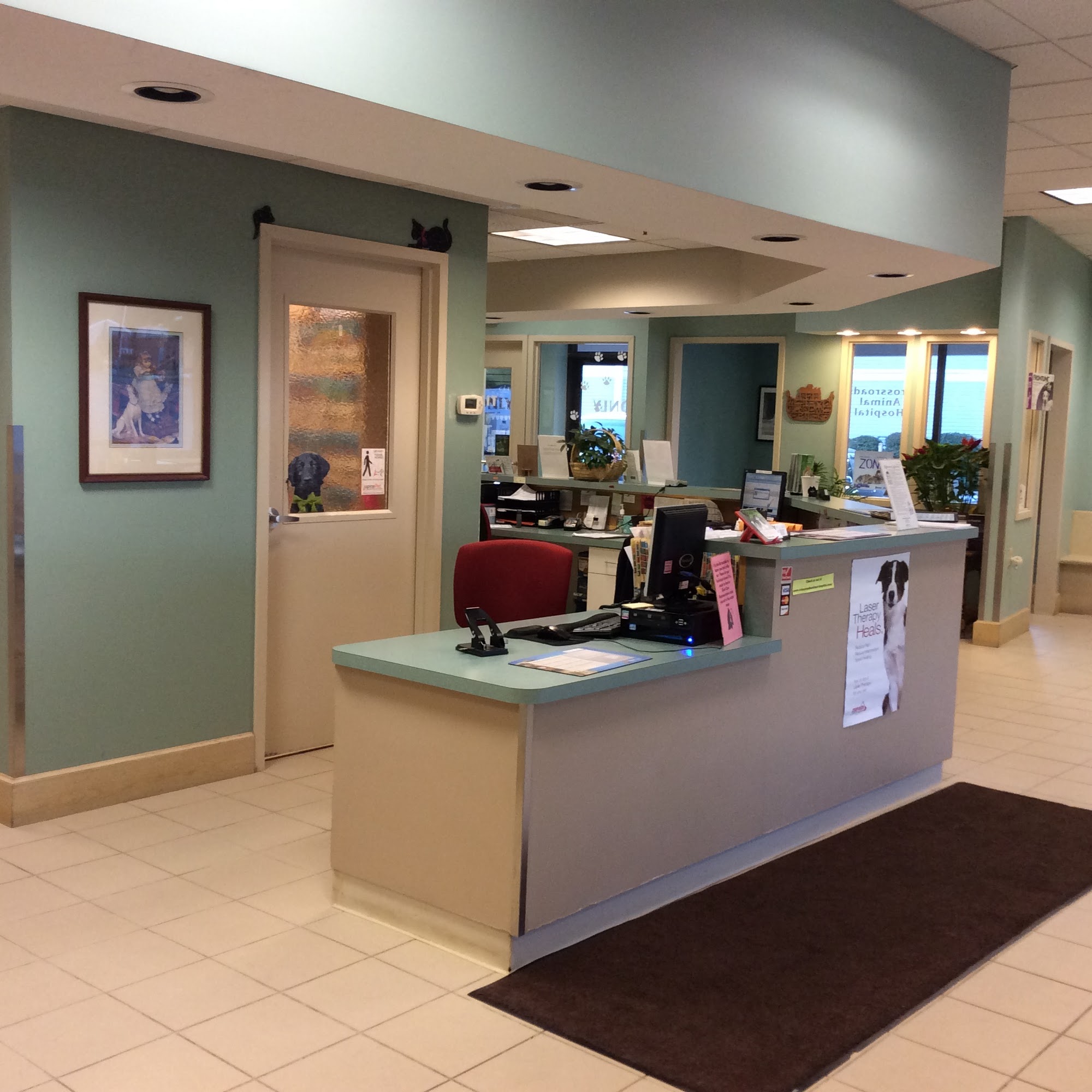 Crossroads Animal Hospital Londonderry