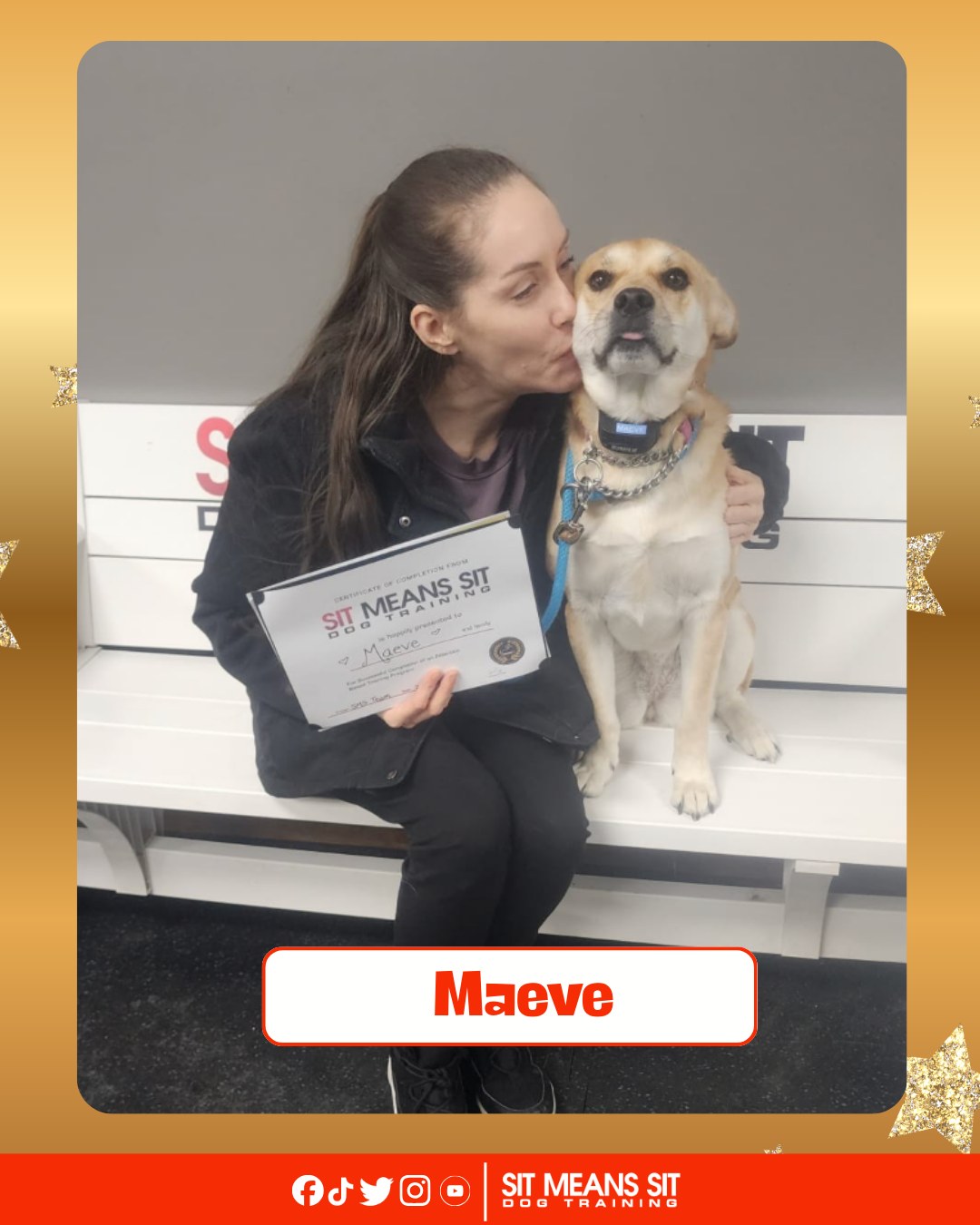 Sit Means Sit - New Hampshire Londonderry