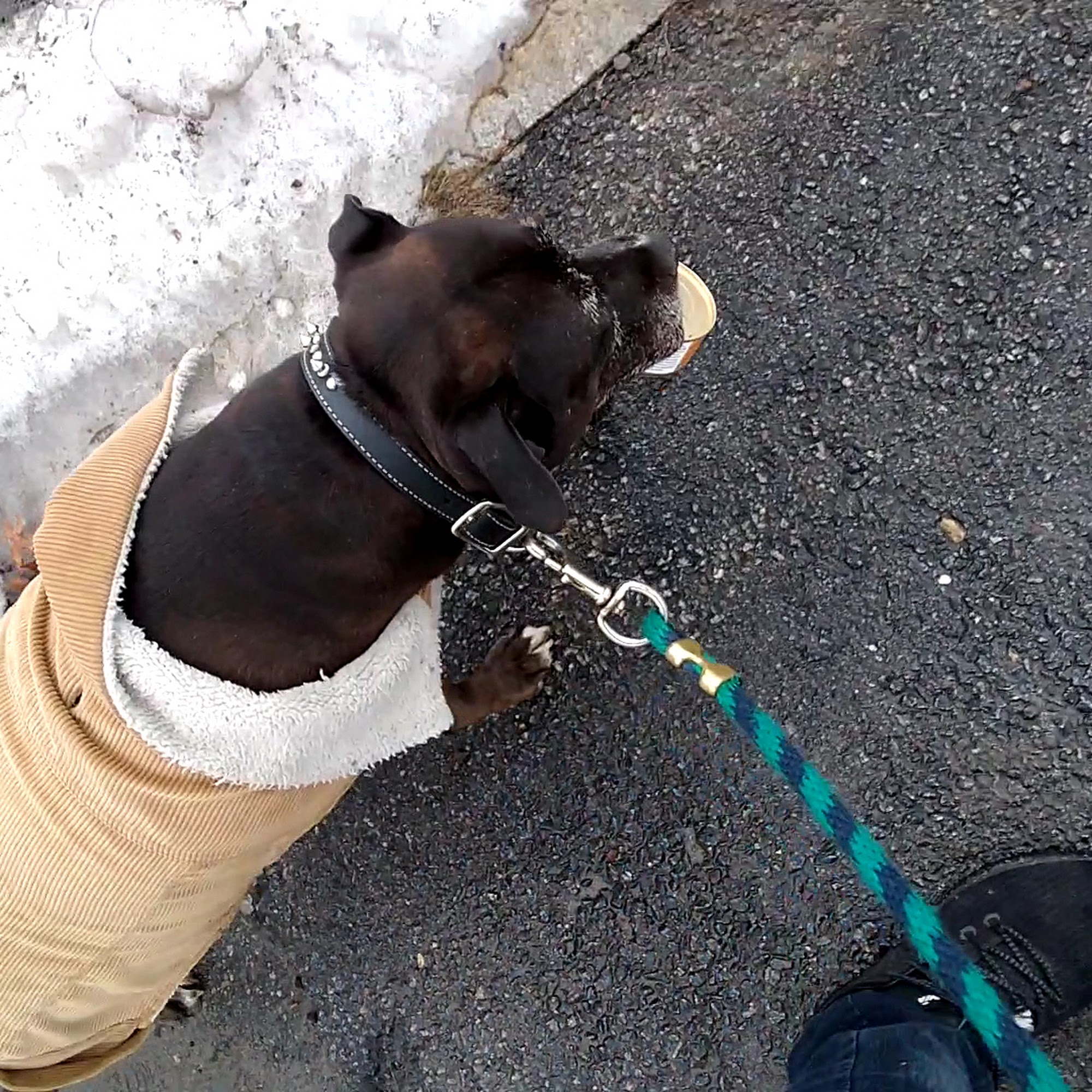 Veterinary Emergency Center of Manchester Manchester