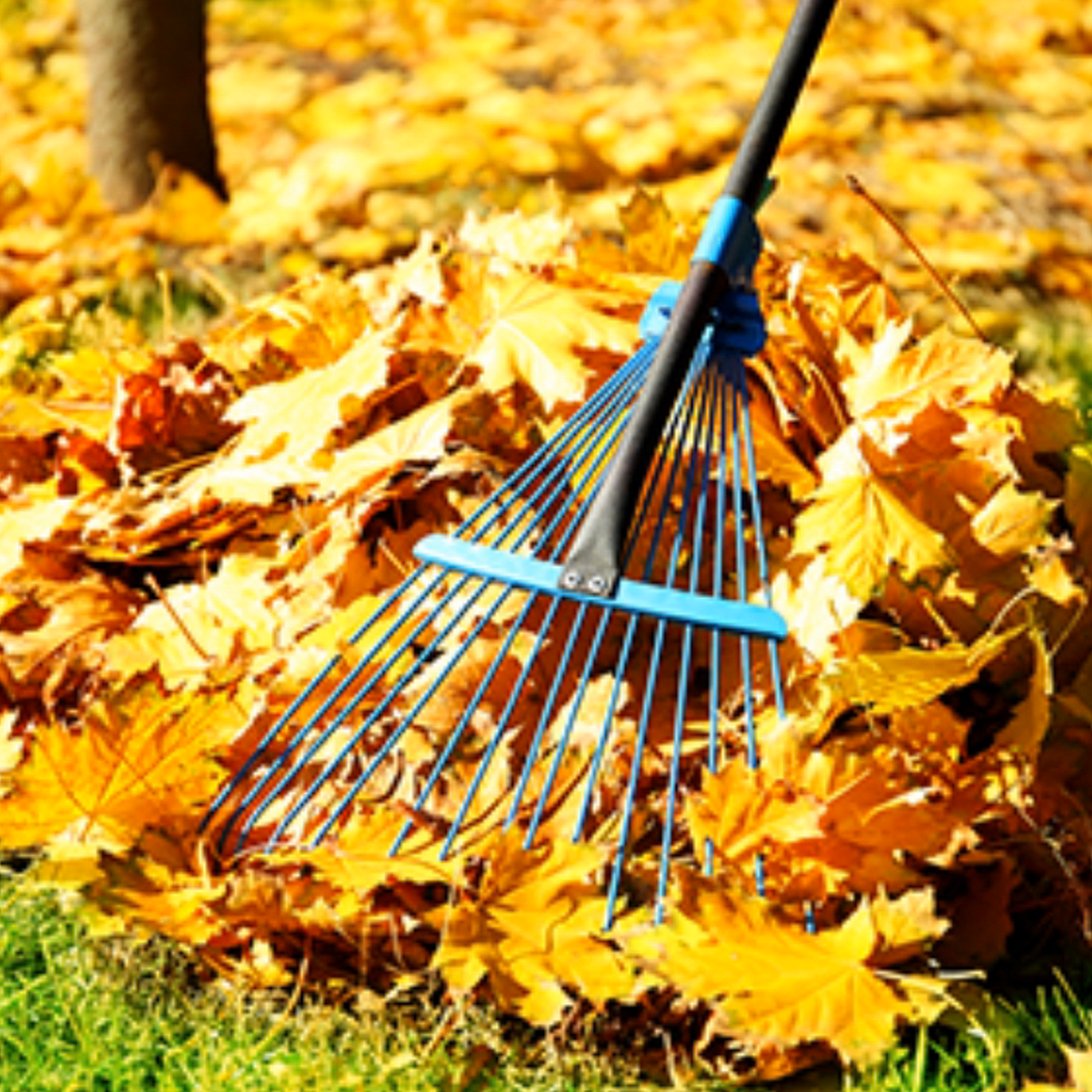 A & J Lawn Care 373 S Willow St suite 421, Manchester, NH 03103