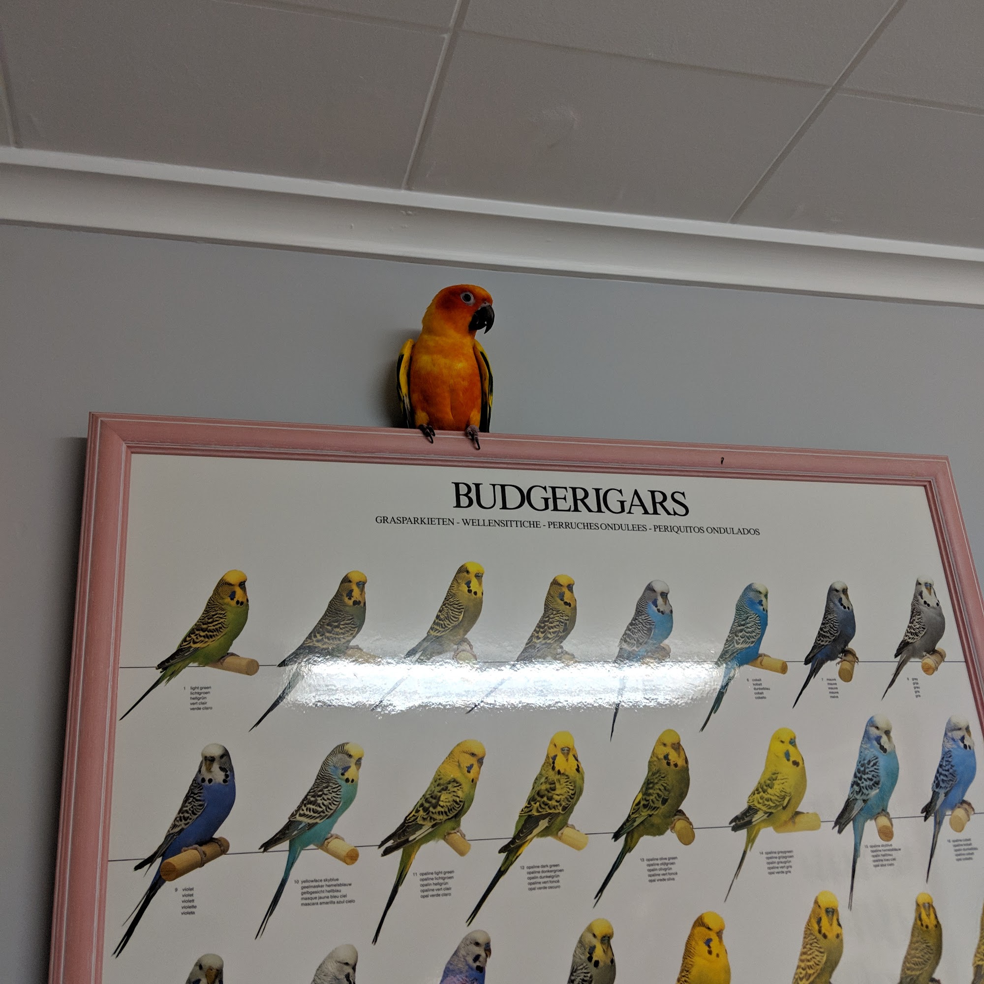 Marlborough Veterinary Clinic Marlborough