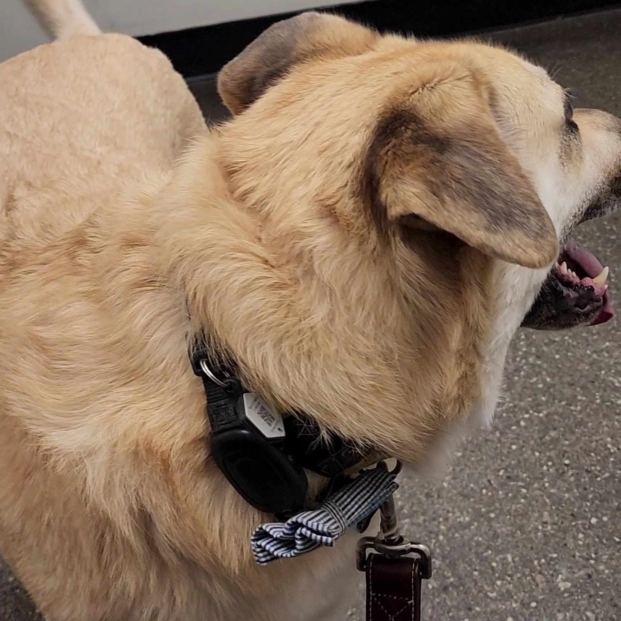 Merrimack Veterinary Hospital Merrimack