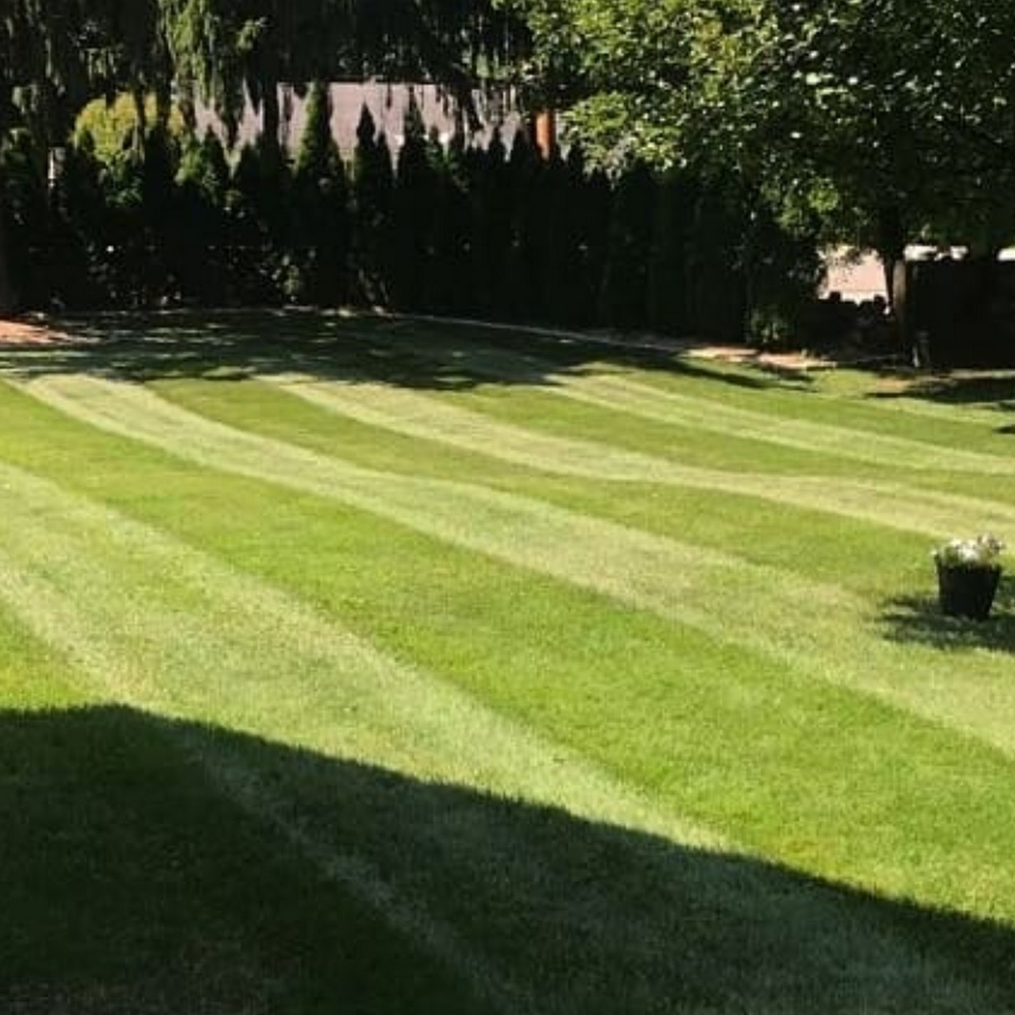 Greener Tomorrow Landscaping LLP