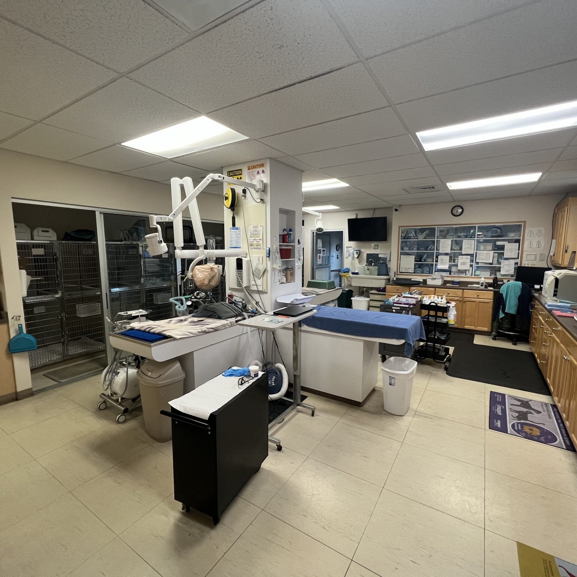 Milford Veterinary Hospital Milford