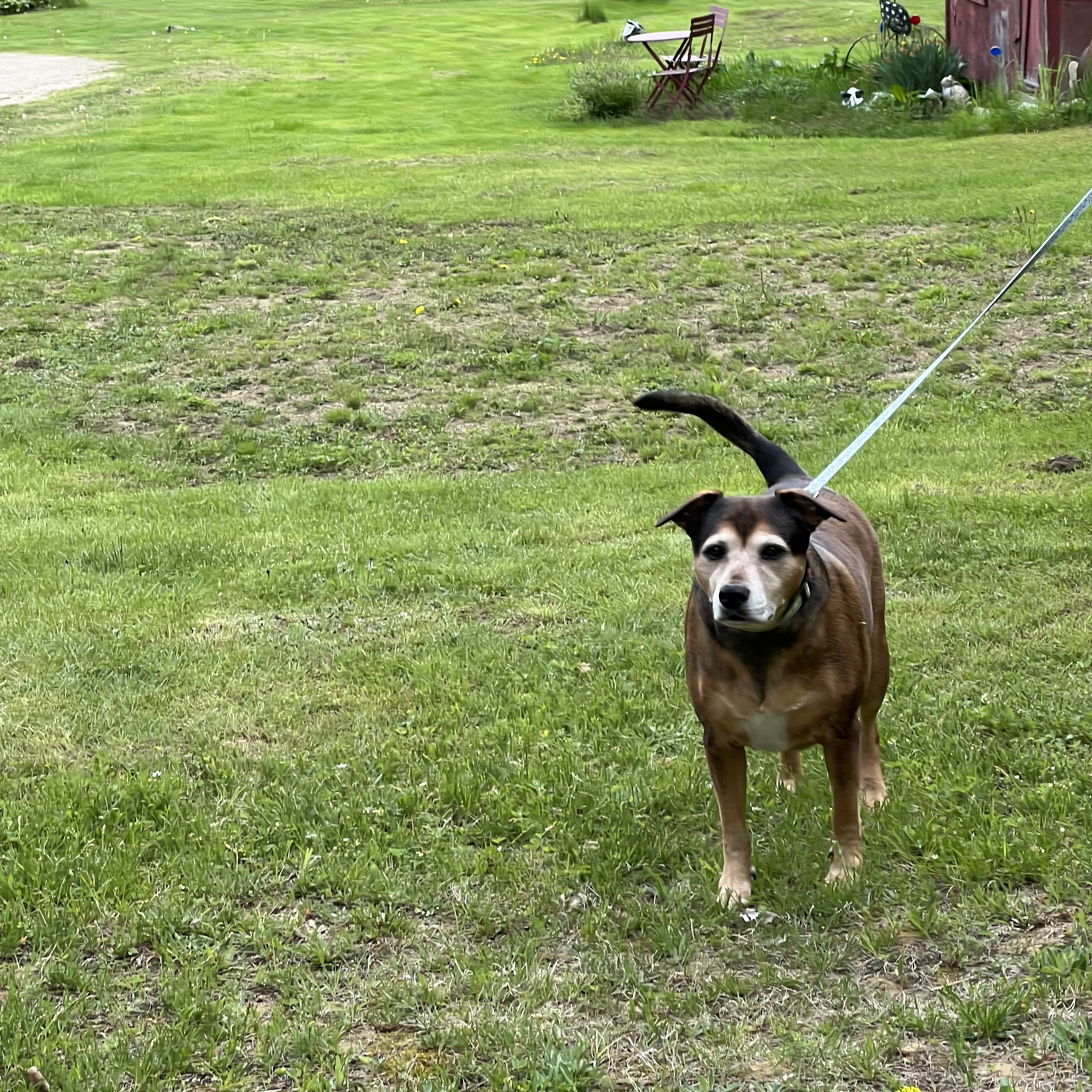 Meadow Pond Animal Hospital Moultonborough