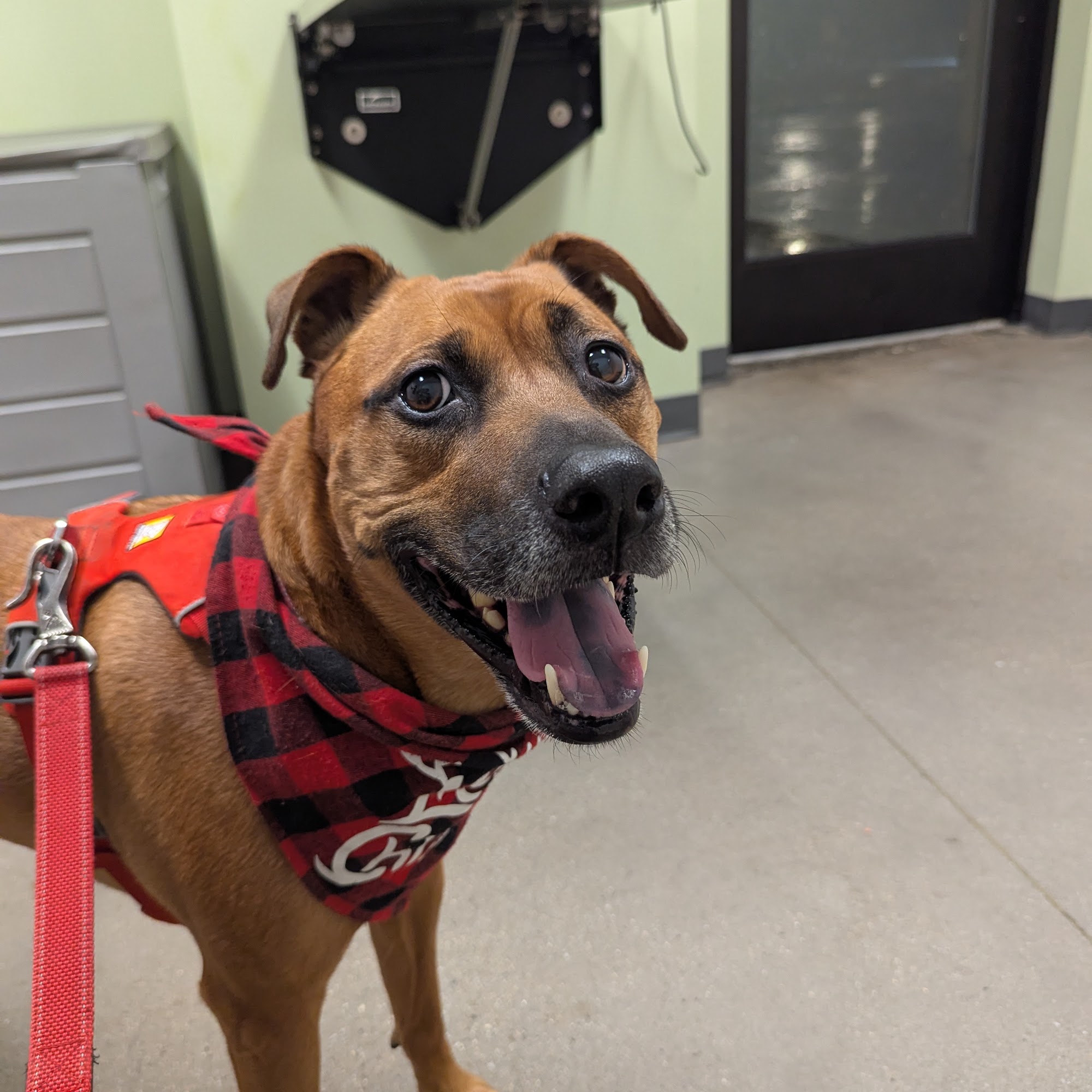 Animal Medical Center of New England Nashua