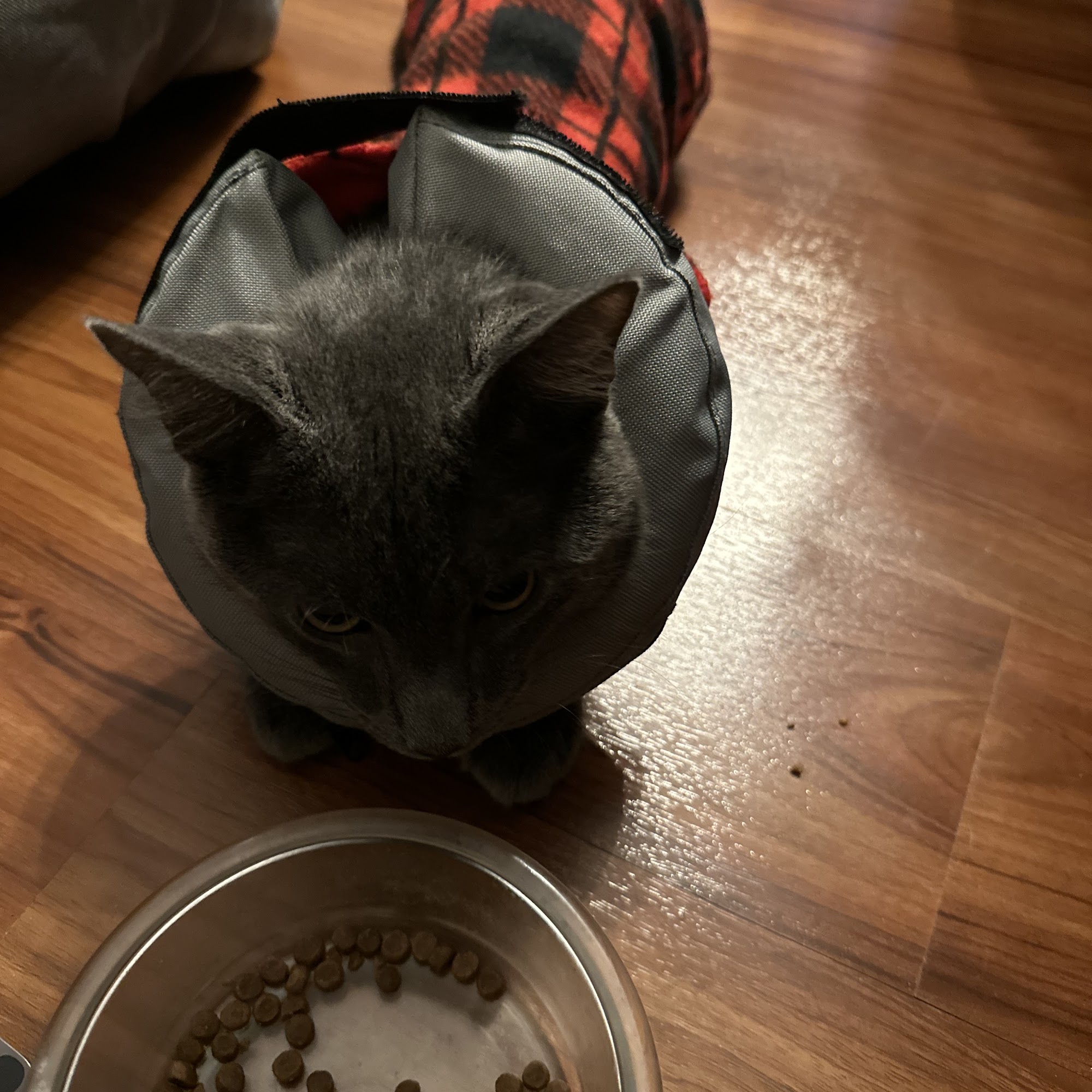 State Line Veterinary Hospital Nashua