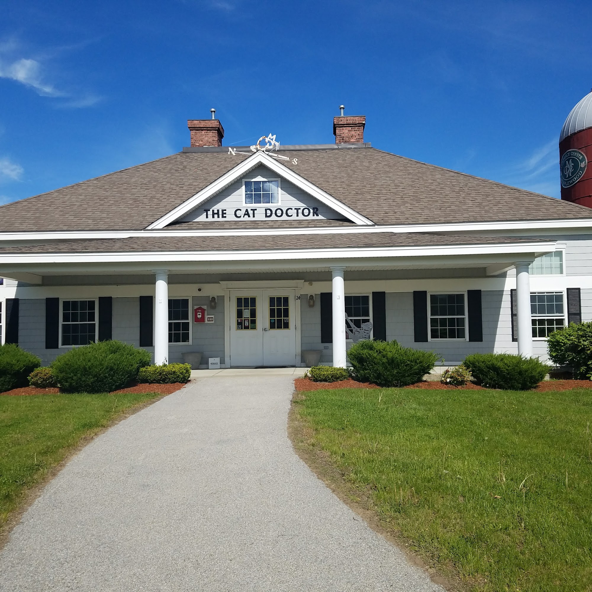 The Cat Doctor of Nashua Nashua