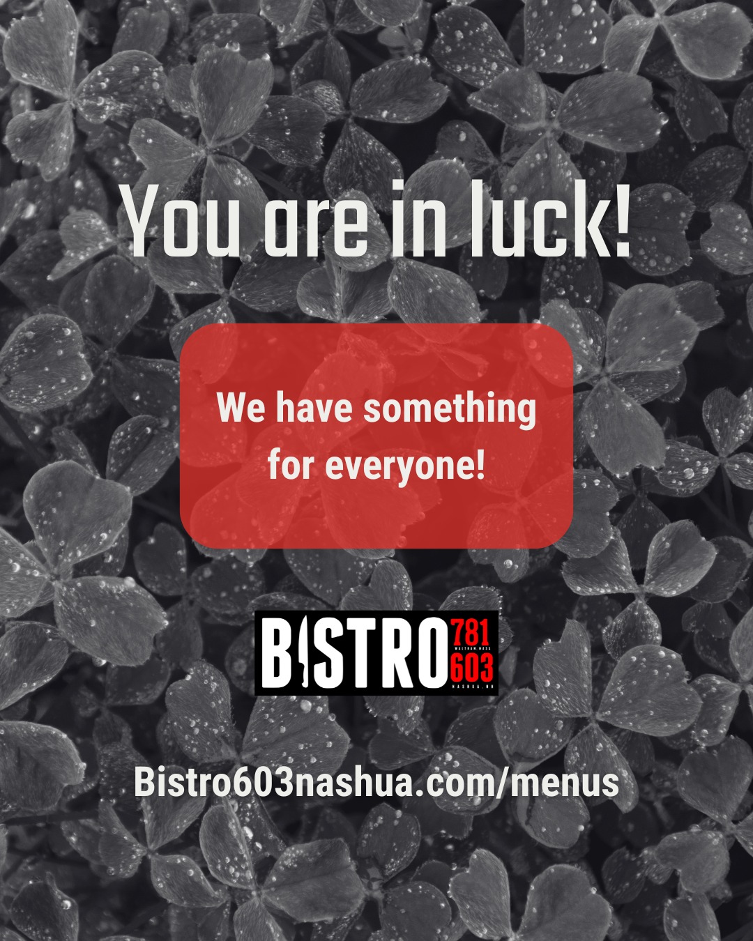 Bistro603 Nashua