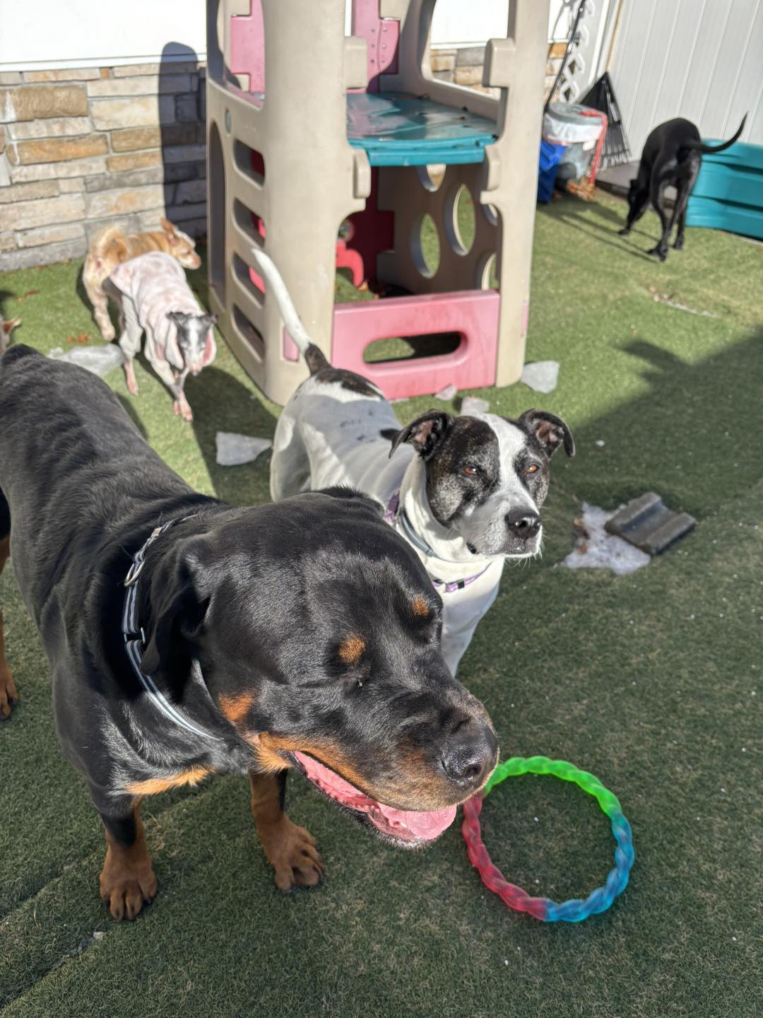 Chewie's Playland South Nashua