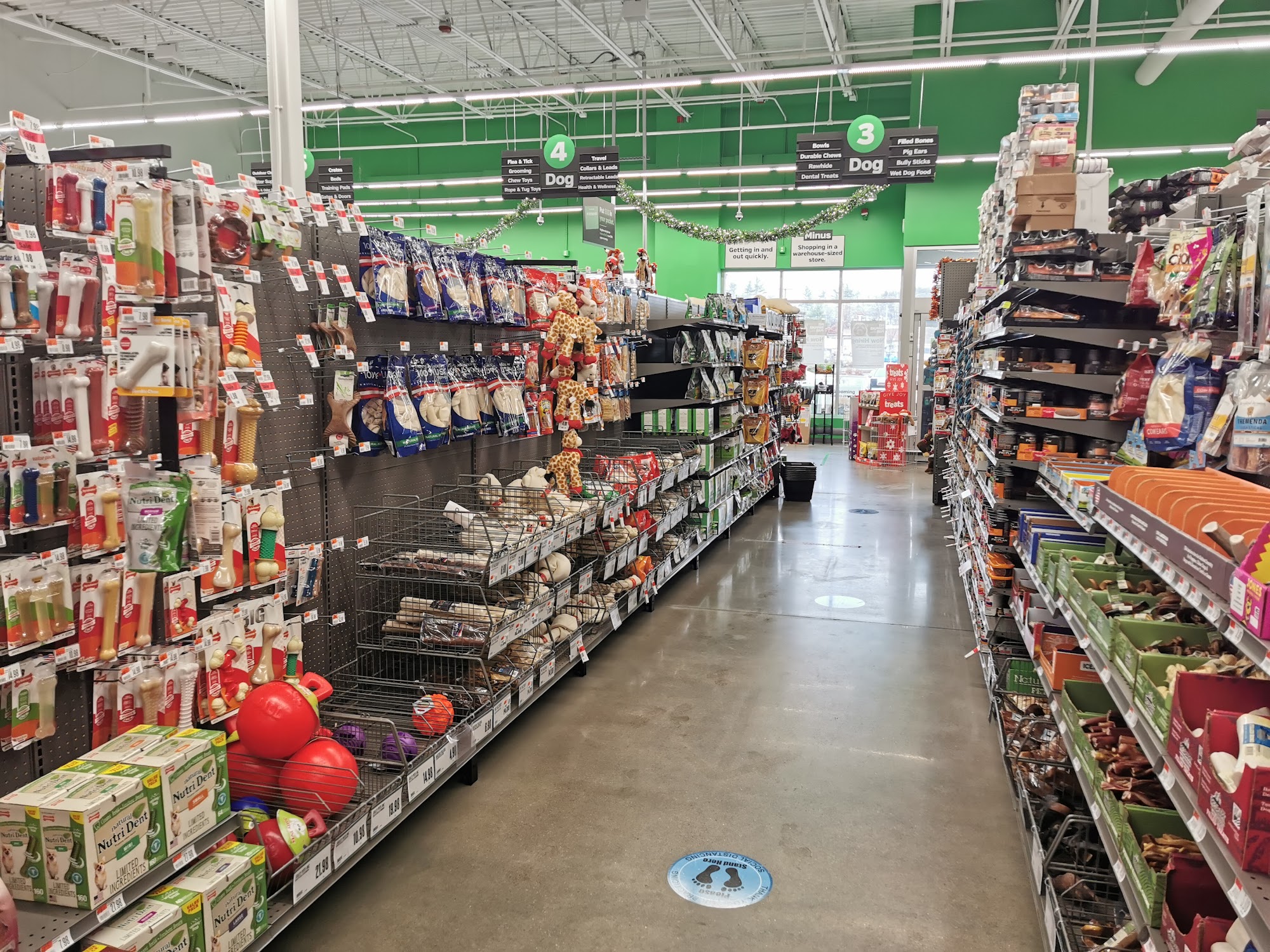 Pet Supplies Plus Nashua Nashua