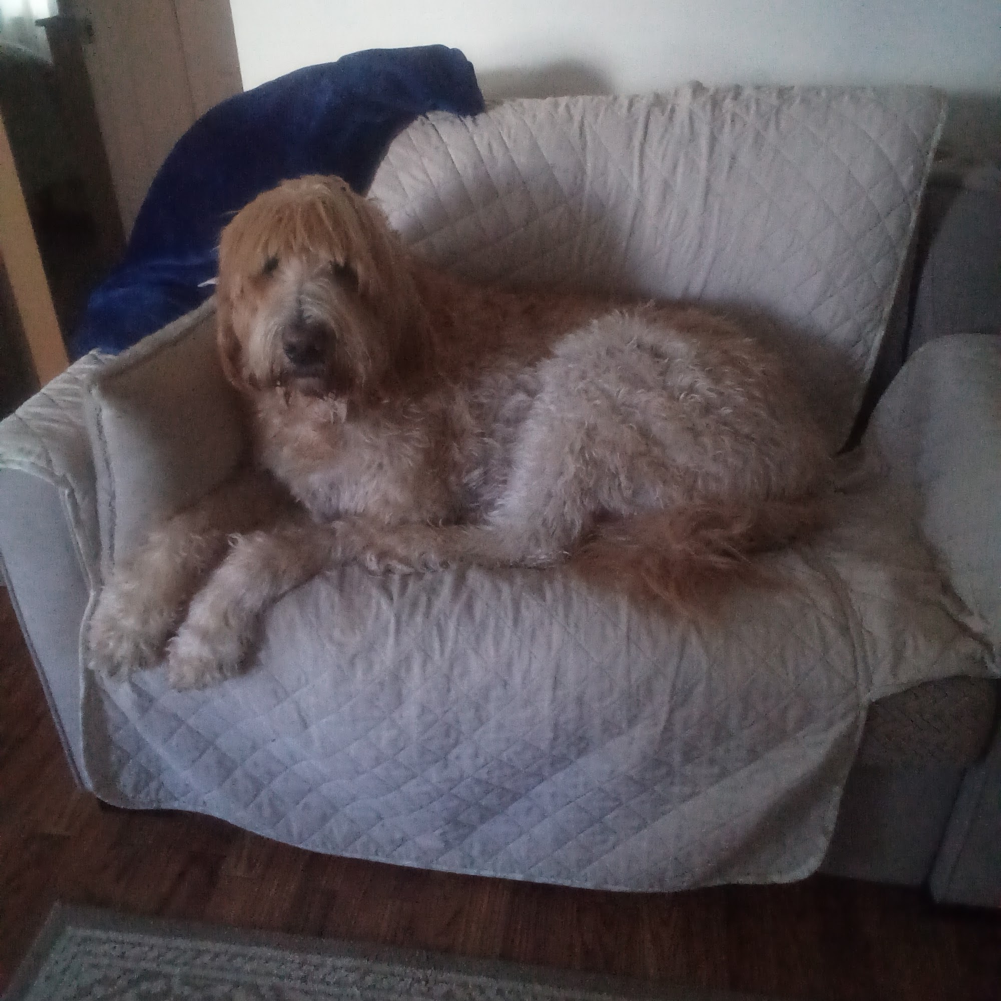 North Hampton Animal Hospital North Hampton