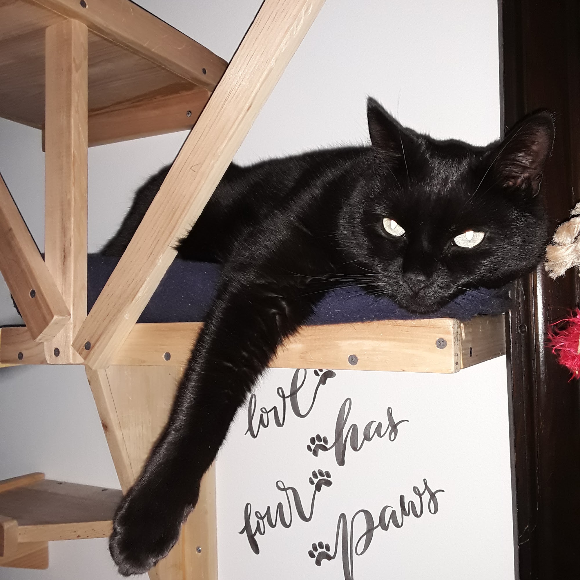 Private Roots Veterinary PLLC Peterborough